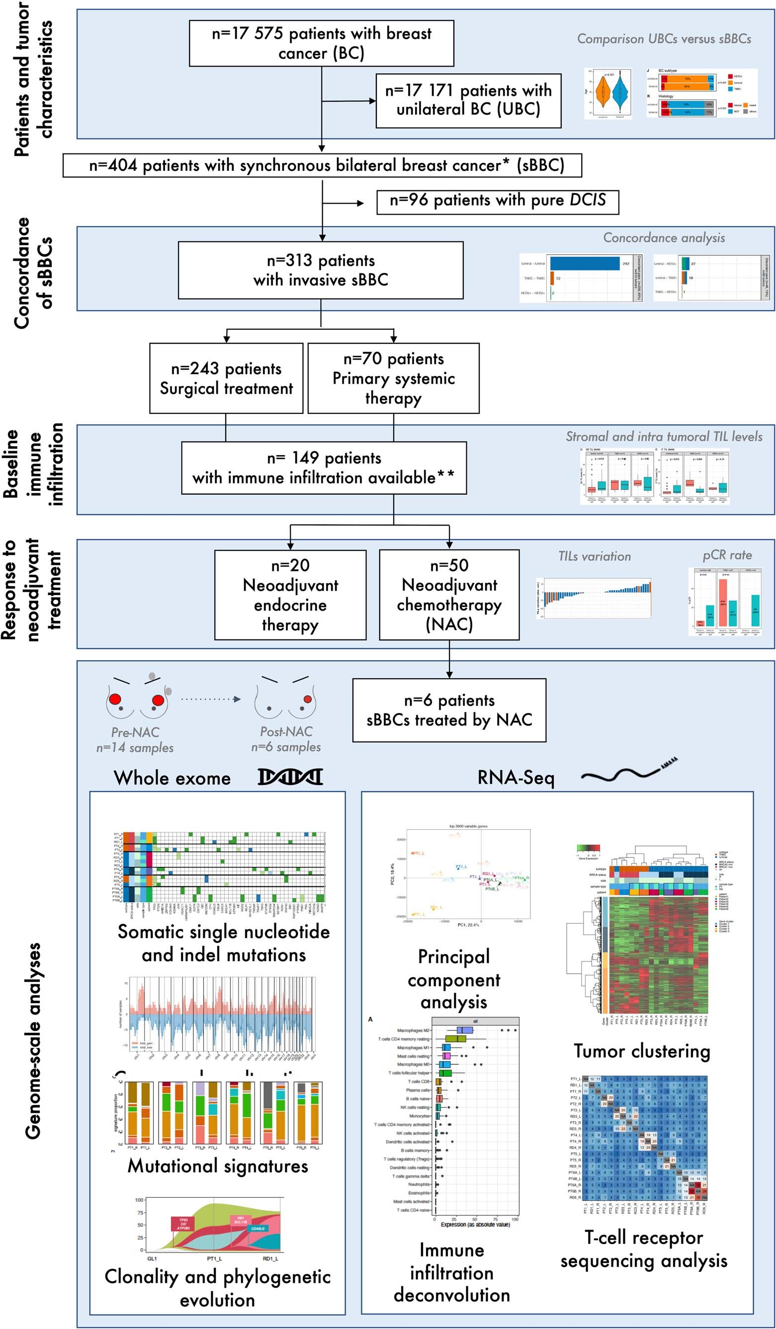 Extended Data Fig. 1: Flow chart of the study cohort.