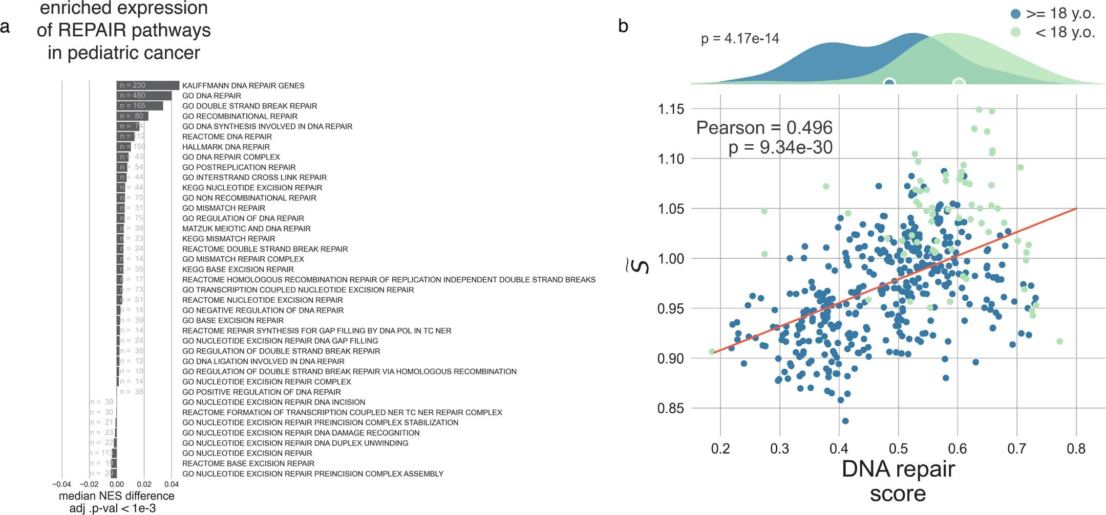 Extended Data Fig. 9: DNA repair pathways.