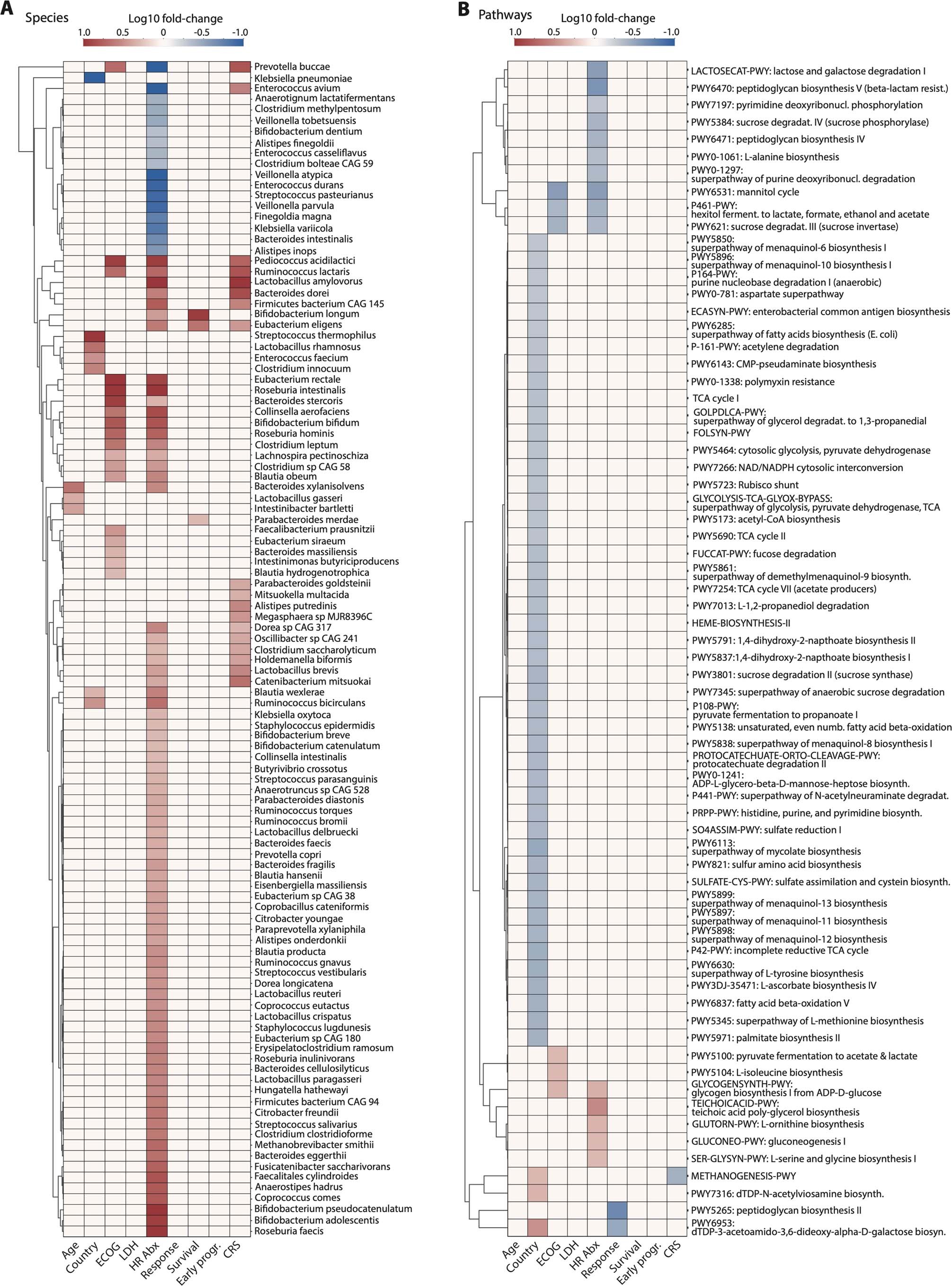 Extended Data Fig. 8: Summary of differentially abundant microbiome features by clinical variables and outcomes including all specimens collected in the 3-weeks pre-infusion period.