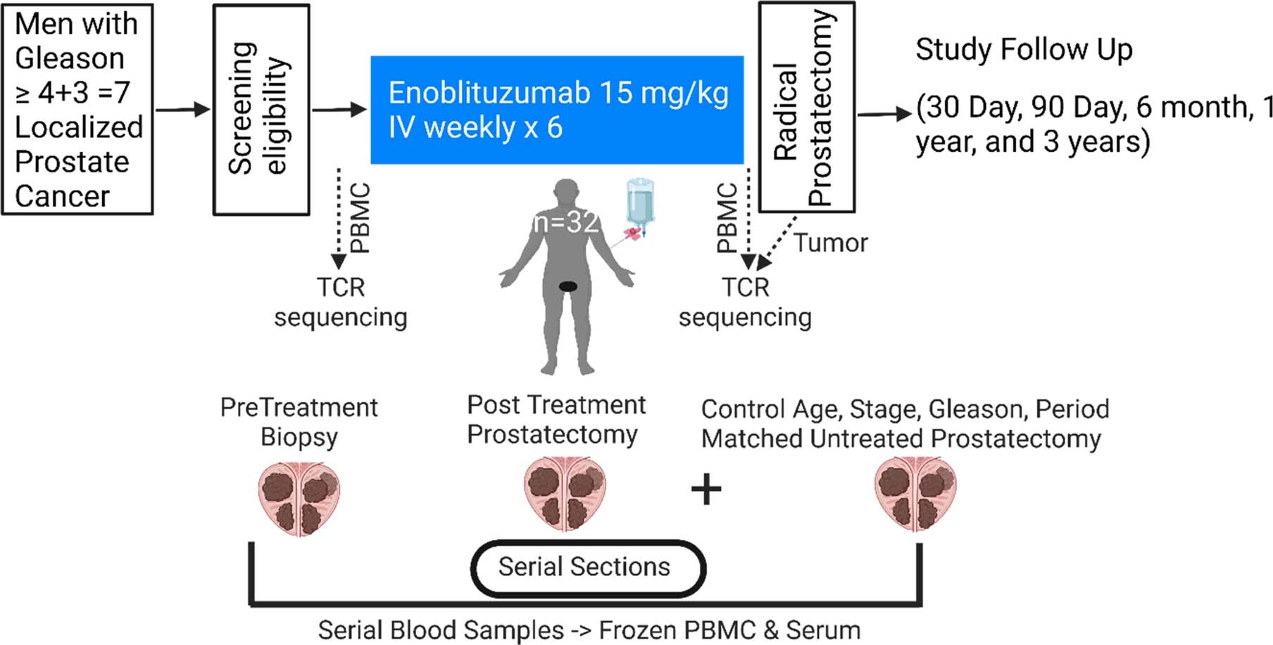 Extended Data Fig. 1: Clinical trial flow chart showing biospecimen collection time schema.