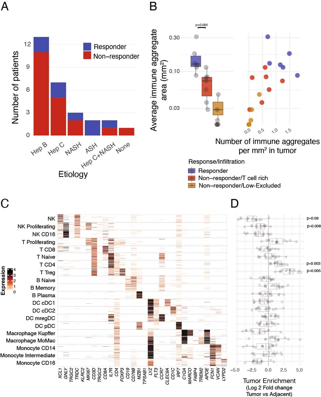 Extended Data Fig. 1: Characterization of T cell rich HCC lesions in response to PD-1 blockade.