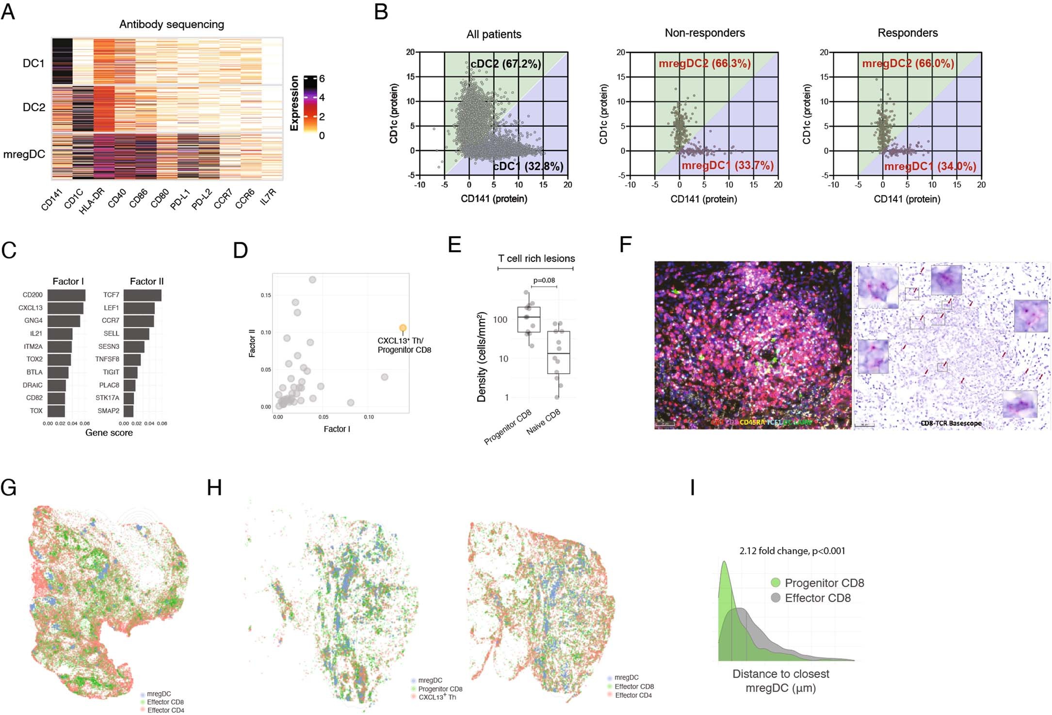 Extended Data Fig. 4: Spatial localization of CXCL13+ Th, Progenitor CD8+ T cells and mregDC.