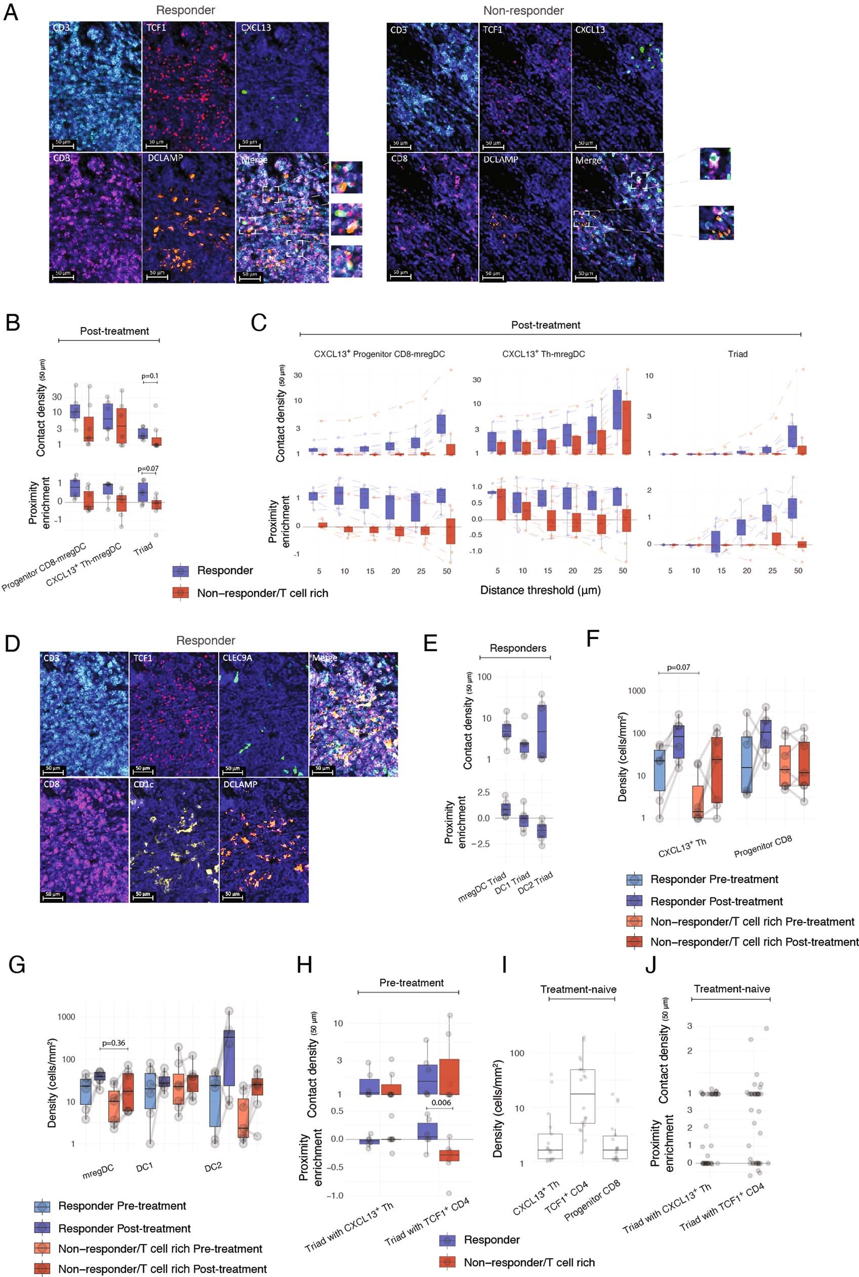 Extended Data Fig. 5: Spatial localization of CXCL13+ Th, Progenitor CD8+ T cells and mregDC.