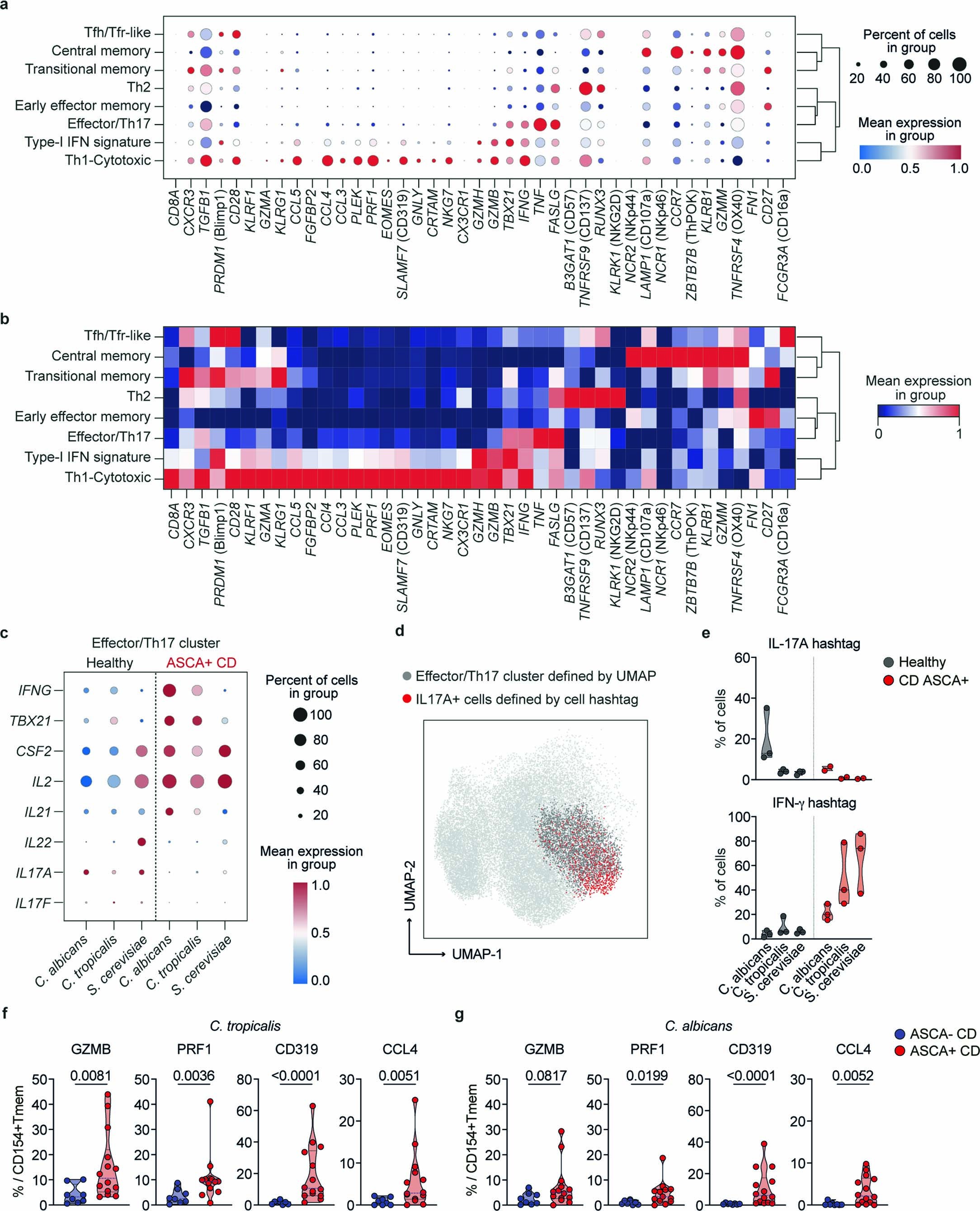 Extended Data Fig. 5: Yeast-responsive Th1 cells express several cytotoxicity-associated markers.