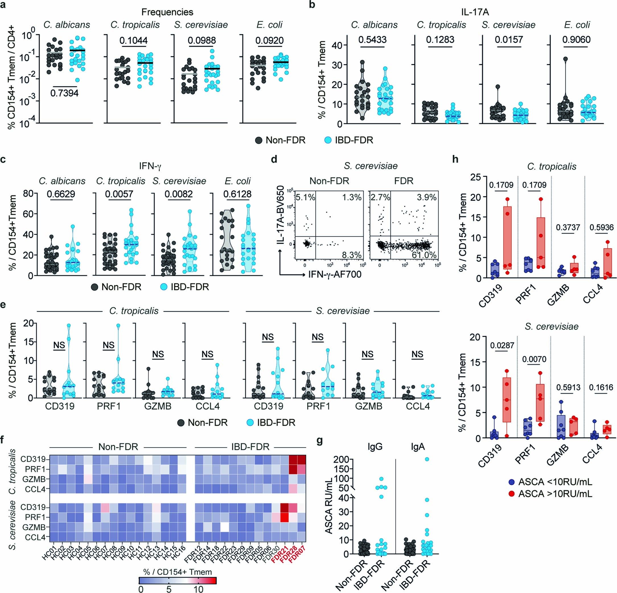 Extended Data Fig. 6: Alterations of yeast-reactive CD4+ T cells are present in first-degree-relatives of IBD patients (IBD-FDR).