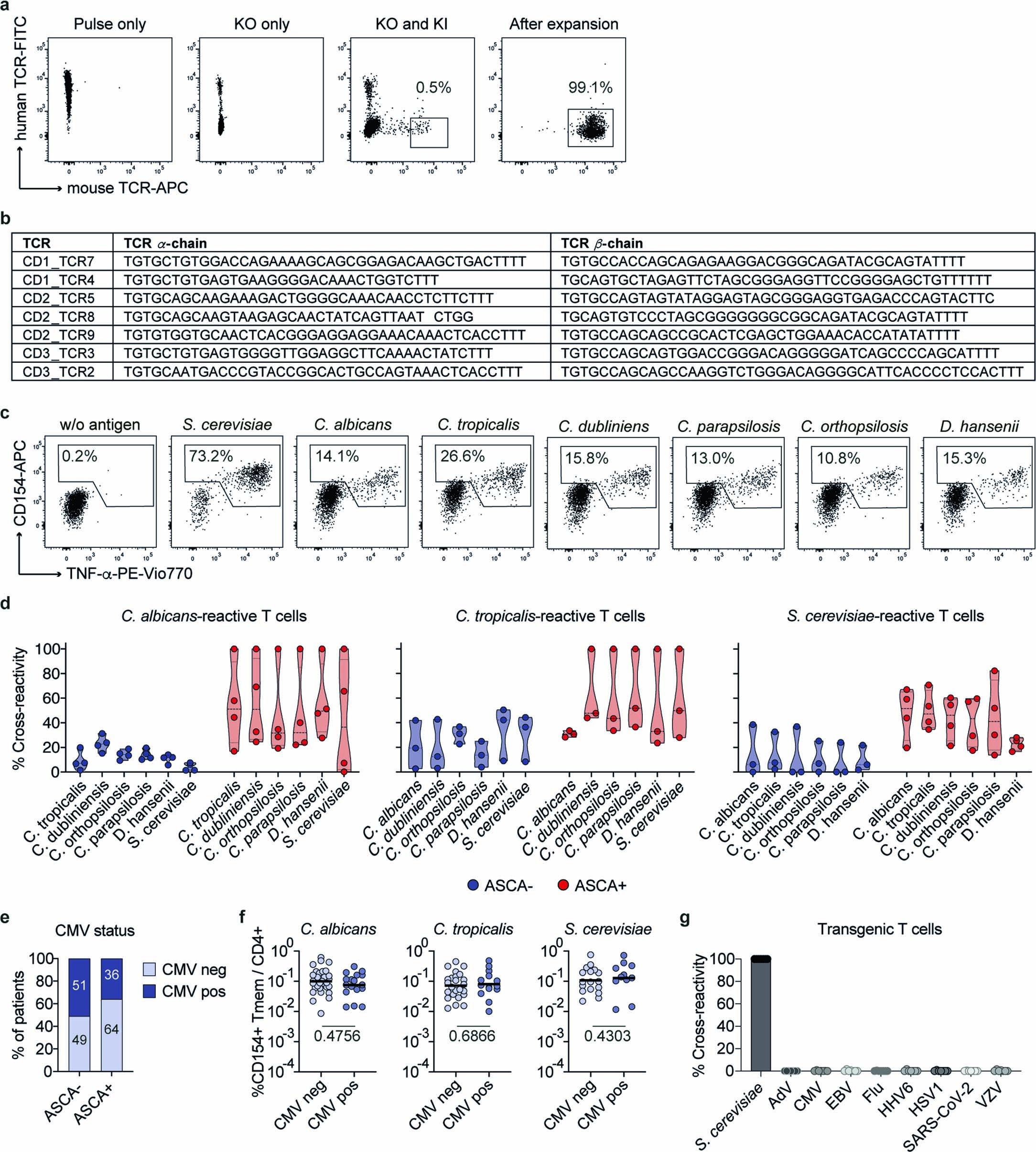 Extended Data Fig. 7: Cross-reactivity of yeast-responsive T cells.