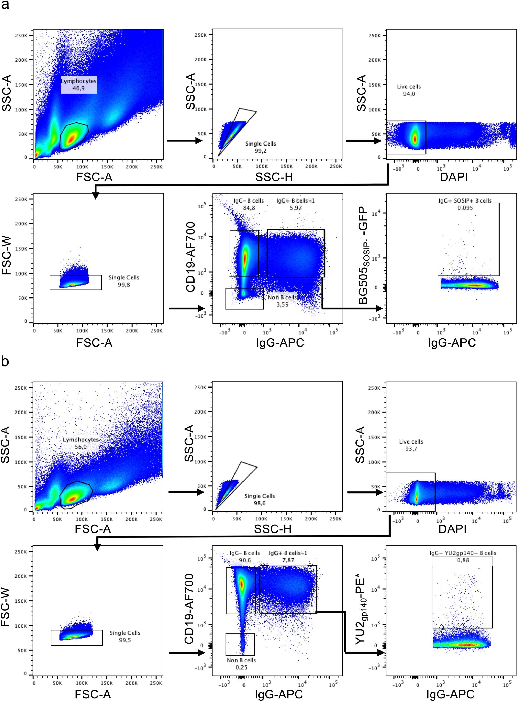 Extended Data Fig. 6: Gating strategy for HIV-1 specific single b cell sorting.
