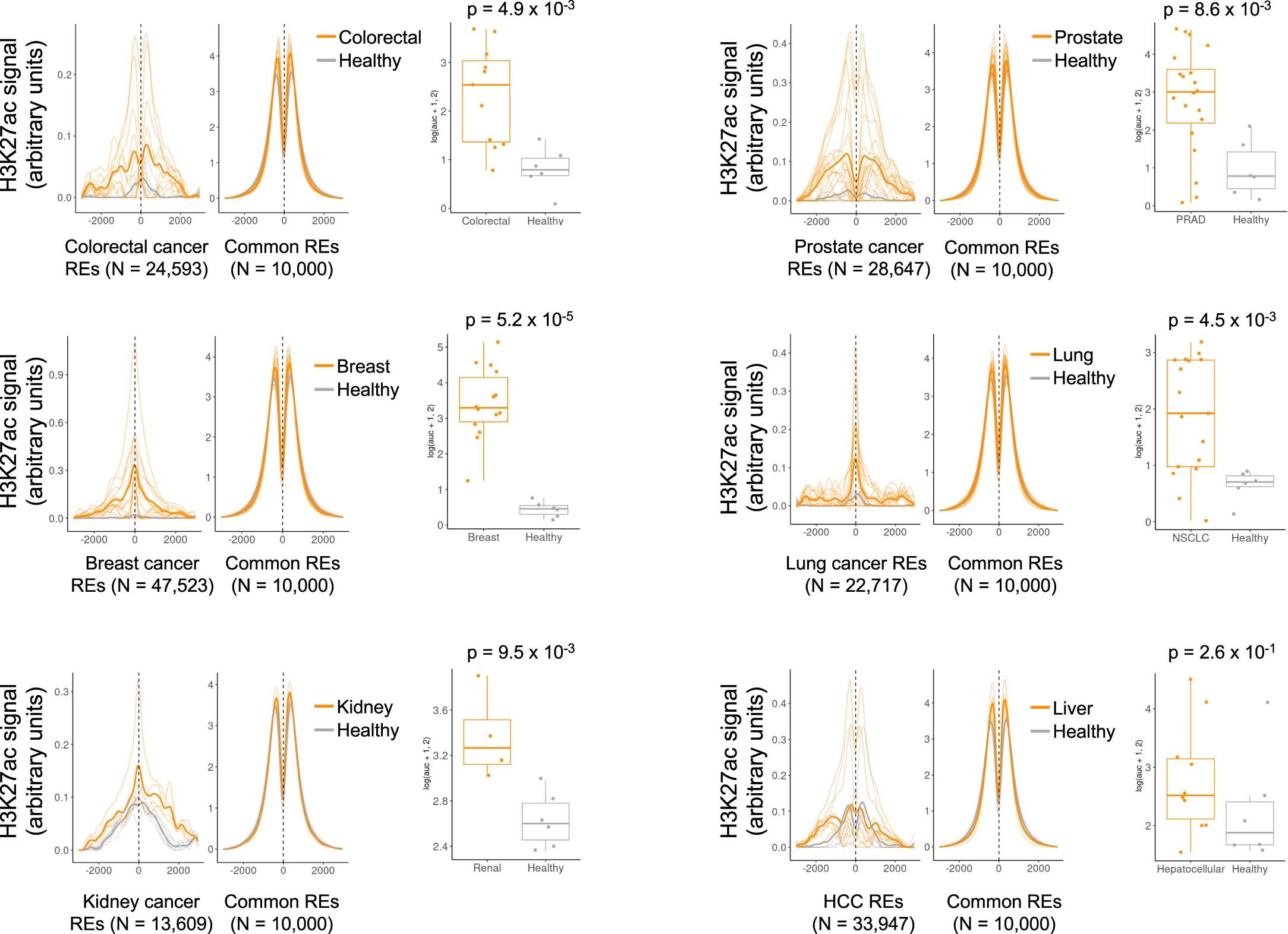 Extended Data Fig. 6: Aggregate H3K27ac cfChIP signal at regulatory elements identified by ATAC-seq in tumor tissue.