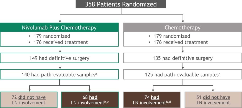Extended Data Fig. 1: CheckMate 816 analysis population.