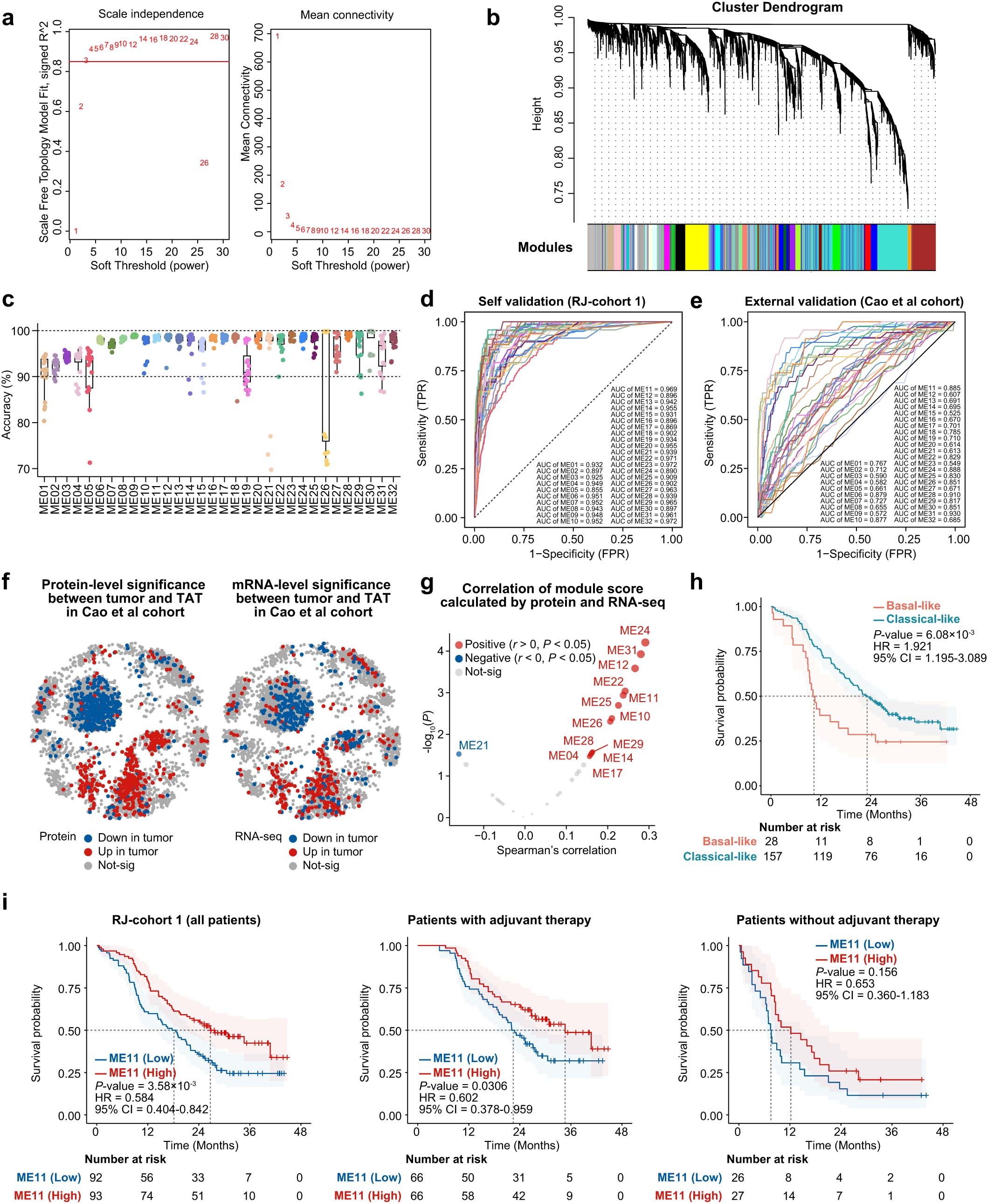 Extended Data Fig. 2: Proteomic features in PDAC and validation of abundance levels of modules using an external independent cohort.