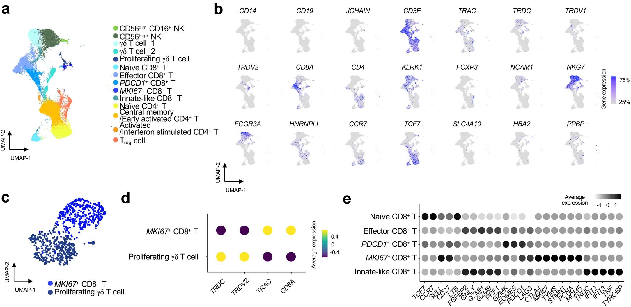 Extended Data Fig. 4: Subcluster analysis of T/NK lymphocyte populations.
