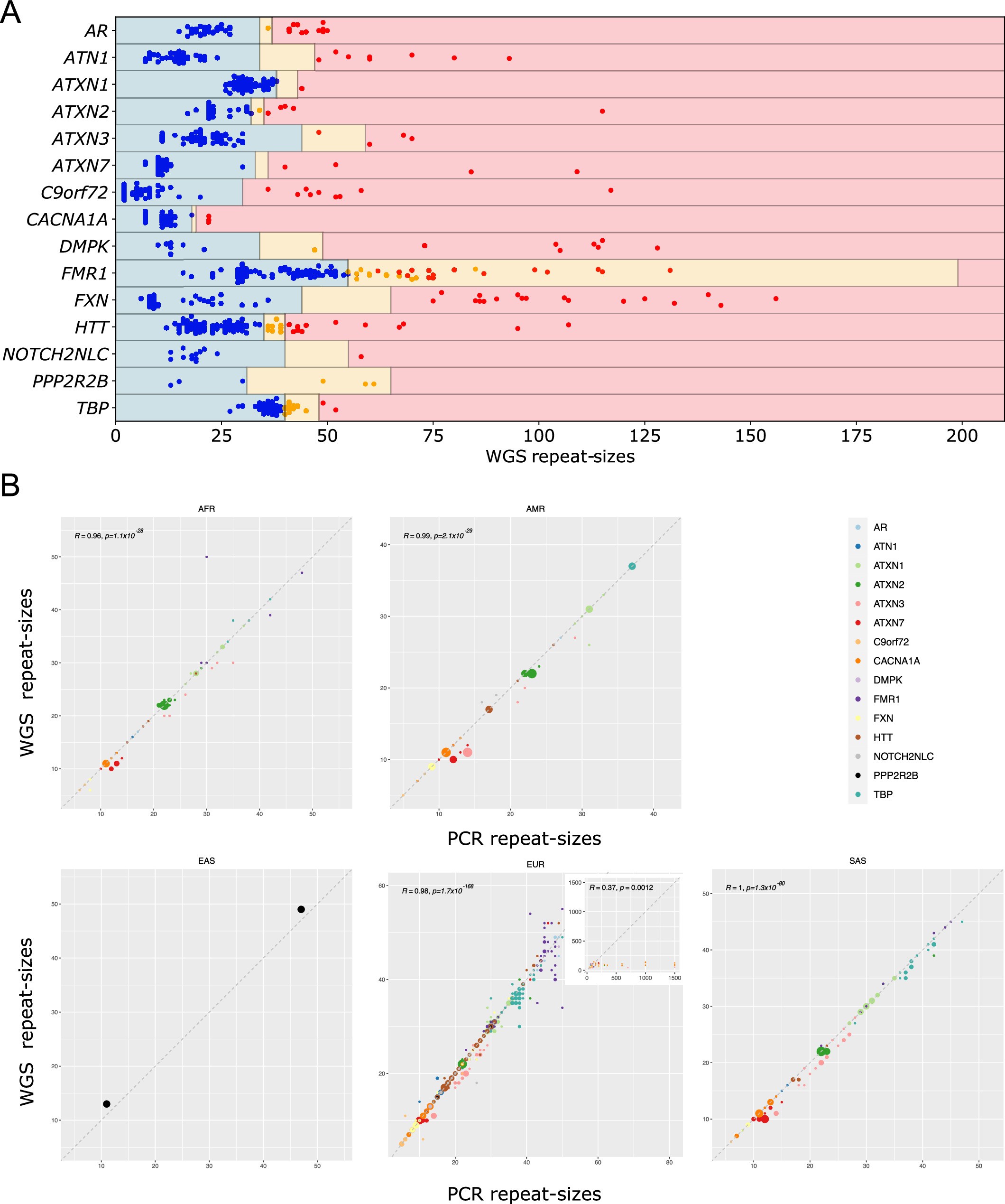 Extended Data Fig. 3: Experimental estimations of repeat sizes using PCR versus genotypes generated by ExpansionHunter v3.2.2.