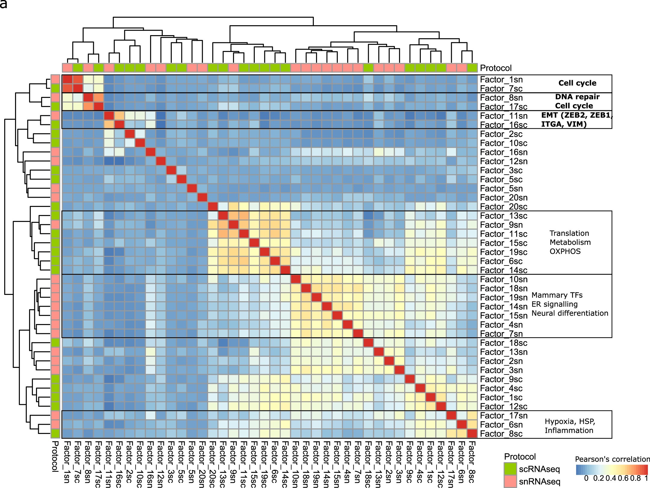 Extended Data Fig. 6: Malignant expression programs as identified by iNMF.