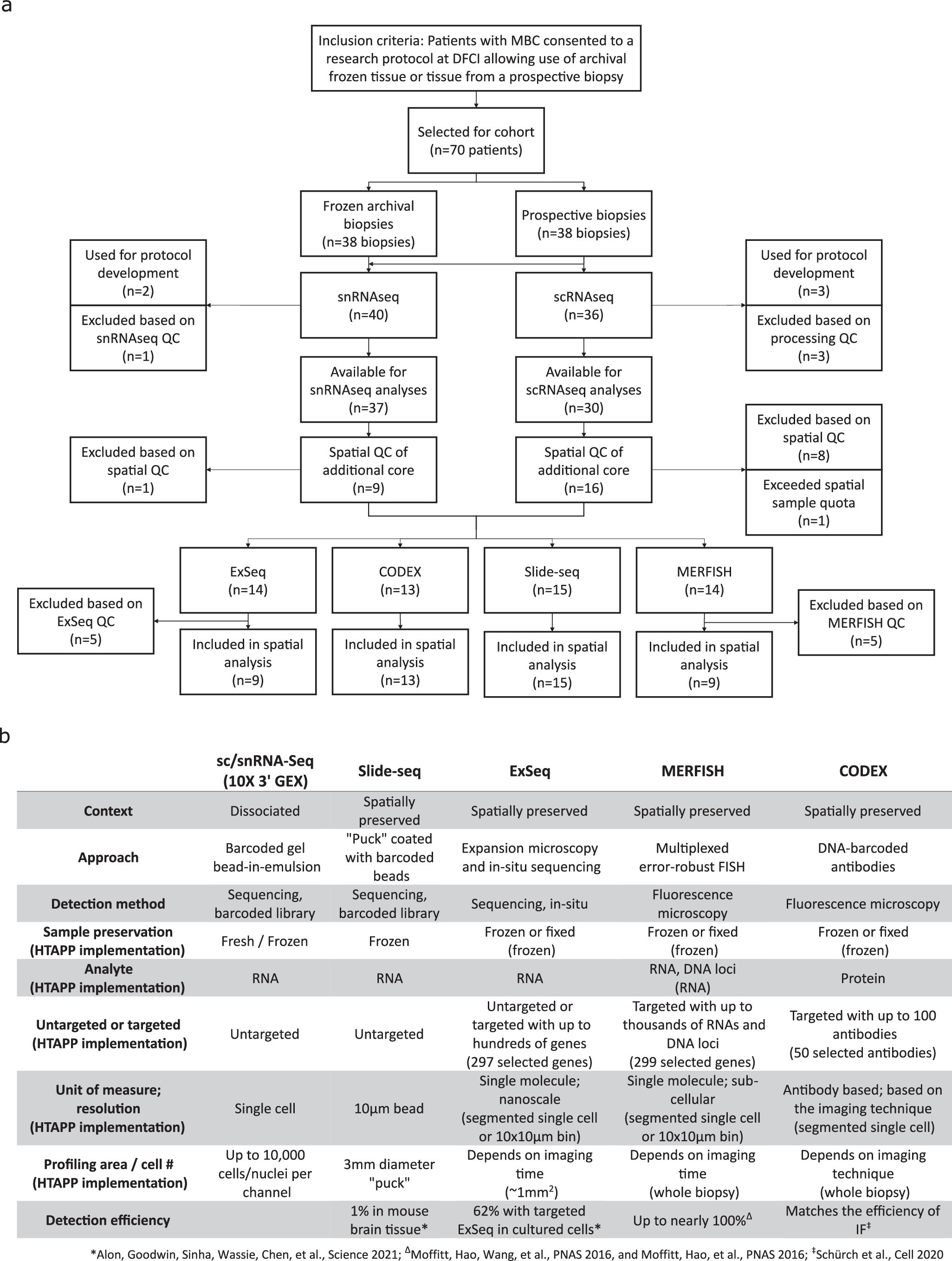 Extended Data Fig. 1: Overview of biopsy sample handling and profiling methods.