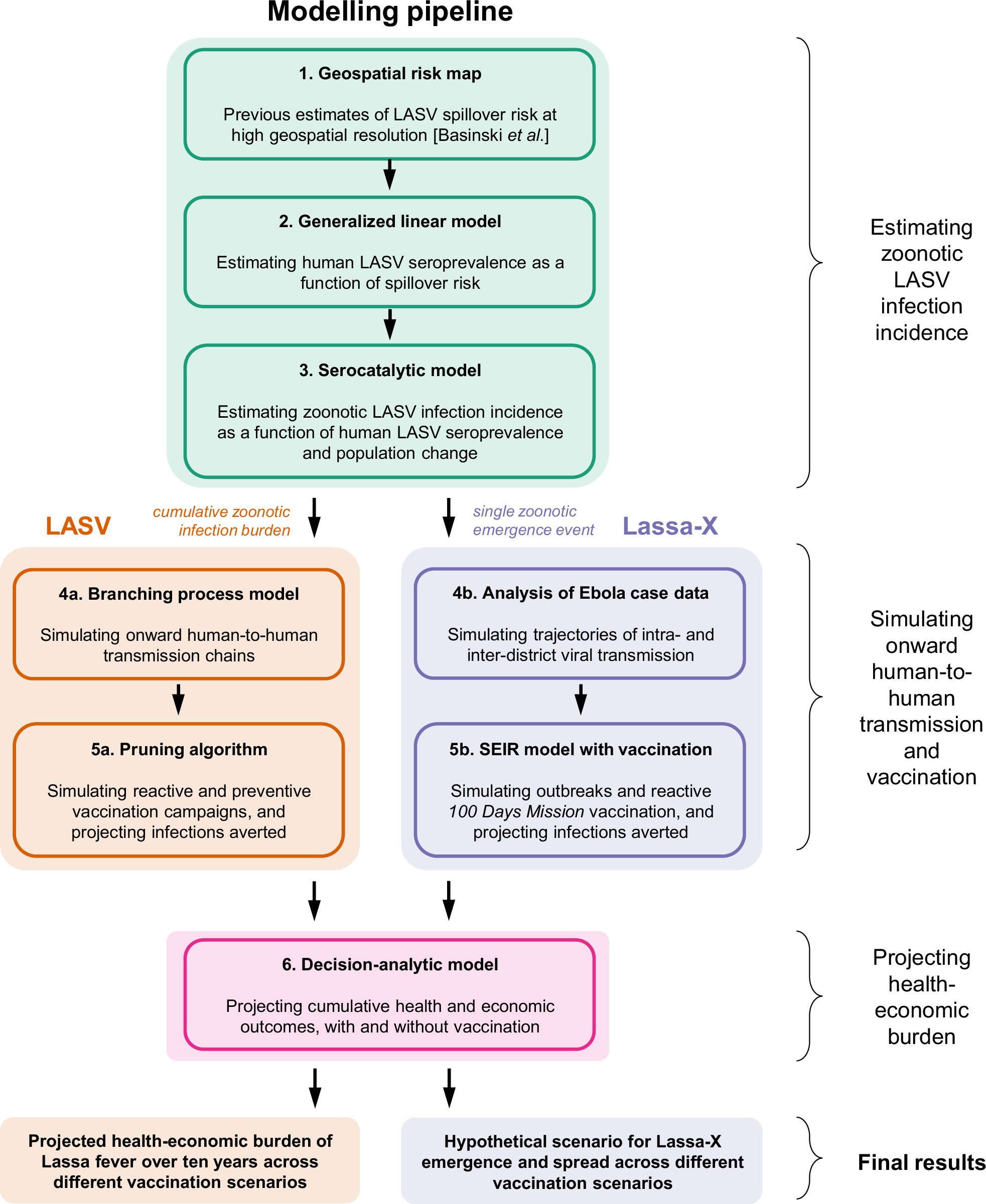 Extended Data Fig. 1: Model schematic.
