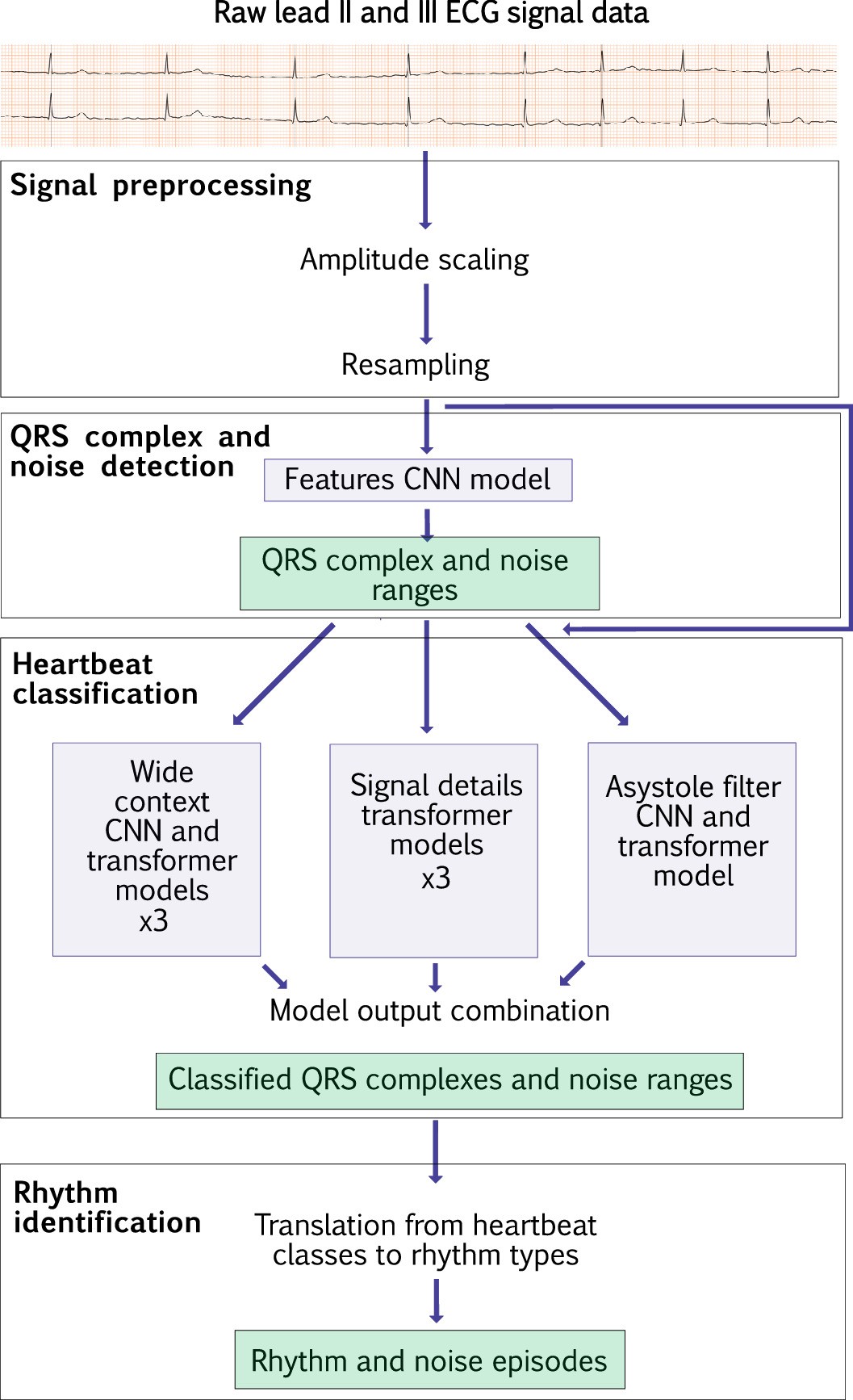 Extended Data Fig. 5: Schematic overview of the DeepRhythmAI model.