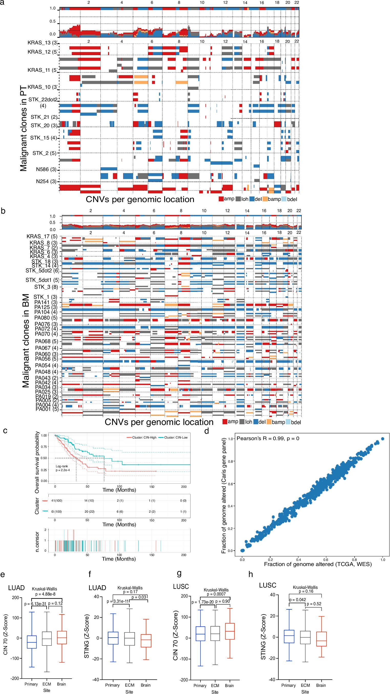 Extended Data Fig. 2: Chromosomal instability in NSCLC BMs.