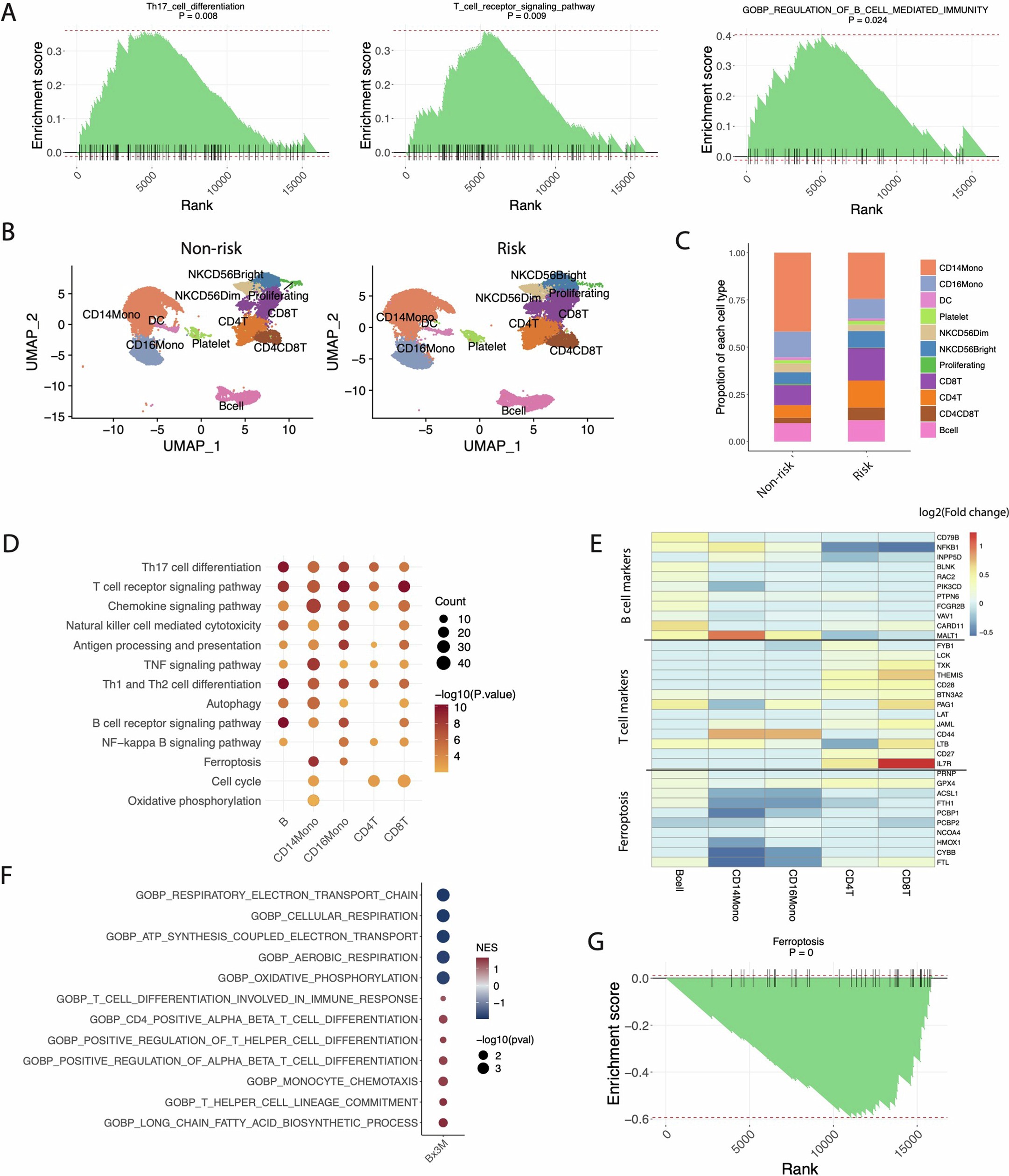 Extended Data Fig. 3: Transcriptomic dysregulation of post-transplant blood and kidneys in AA recipients carrying LILRB3-4SNPs variant (‘Risk’) vs reference (‘Non-risk’) allele.