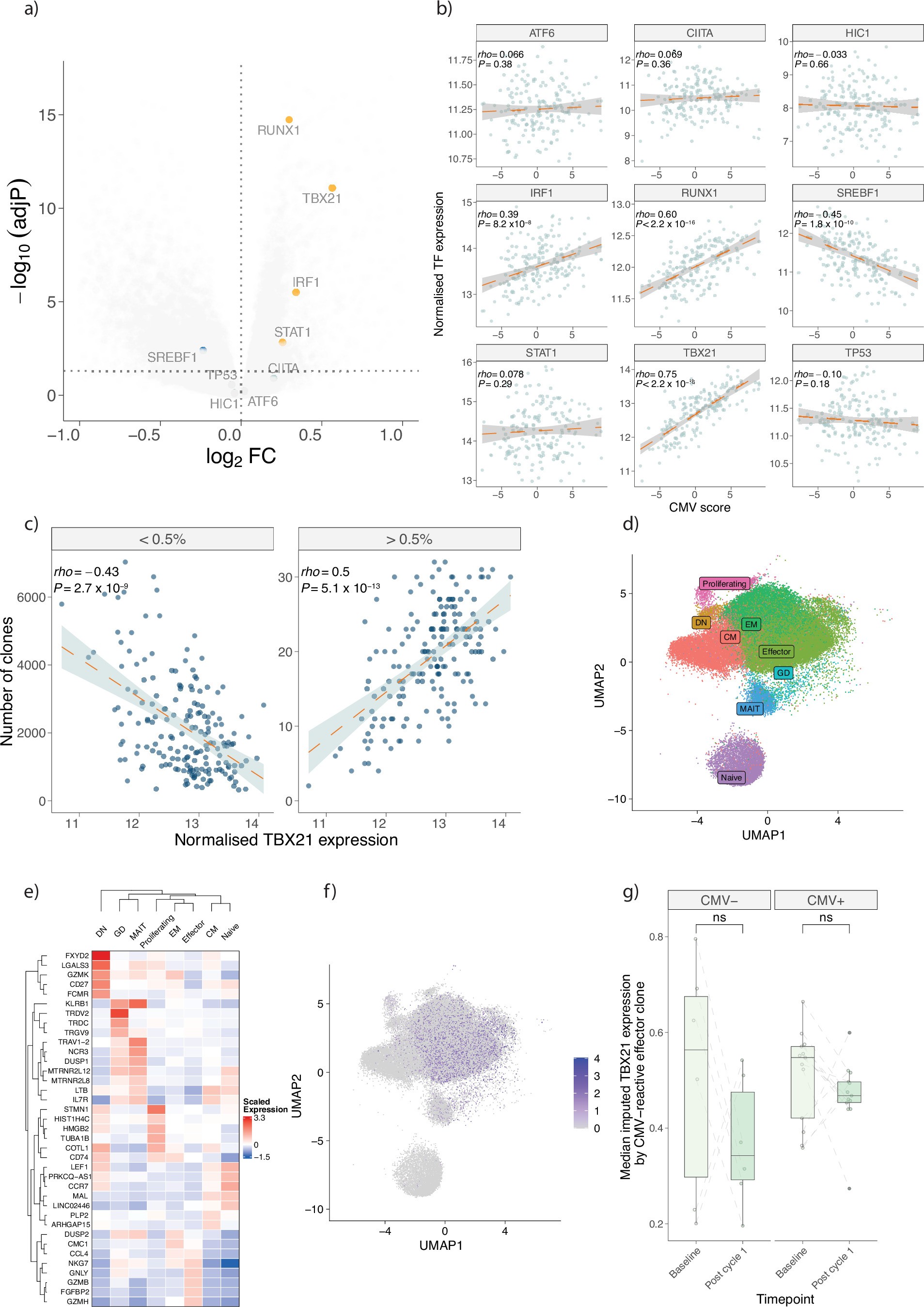 Extended Data Fig. 4: Association of TBX21 expression with clonality and cell subsets.