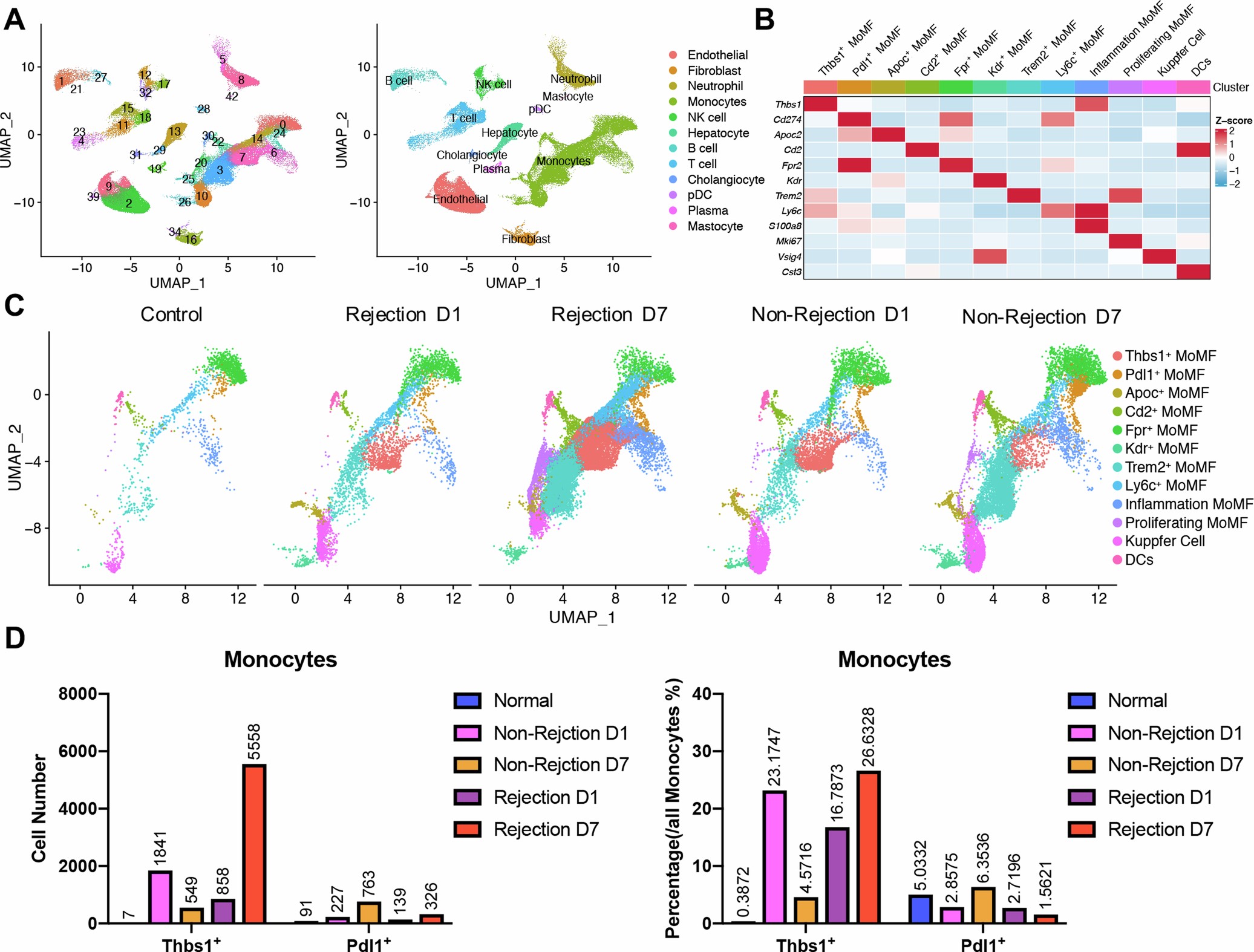 Extended Data Fig. 4: scRNA-Seq data of Rat allotransplantation model.
