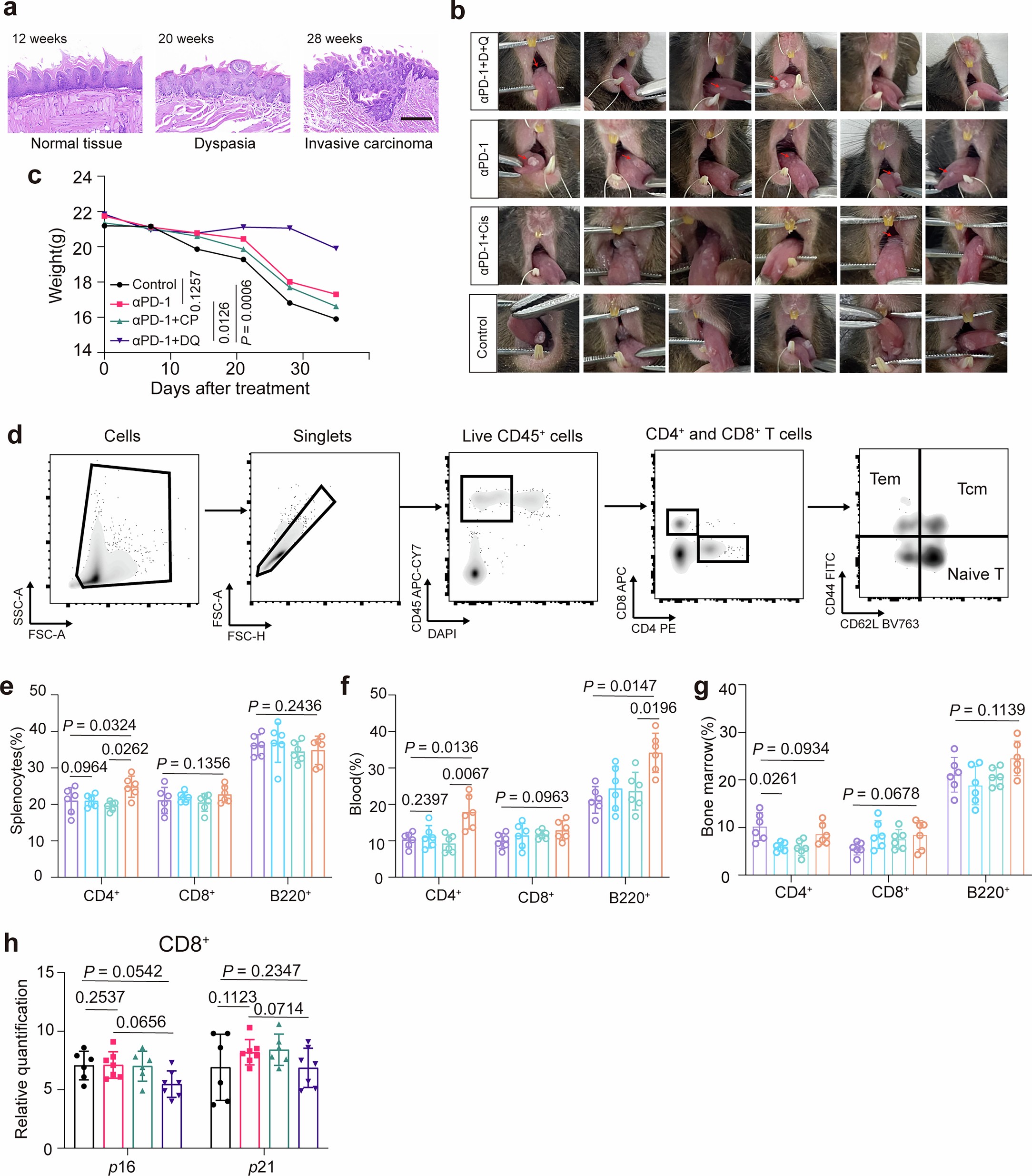 Extended Data Fig. 5