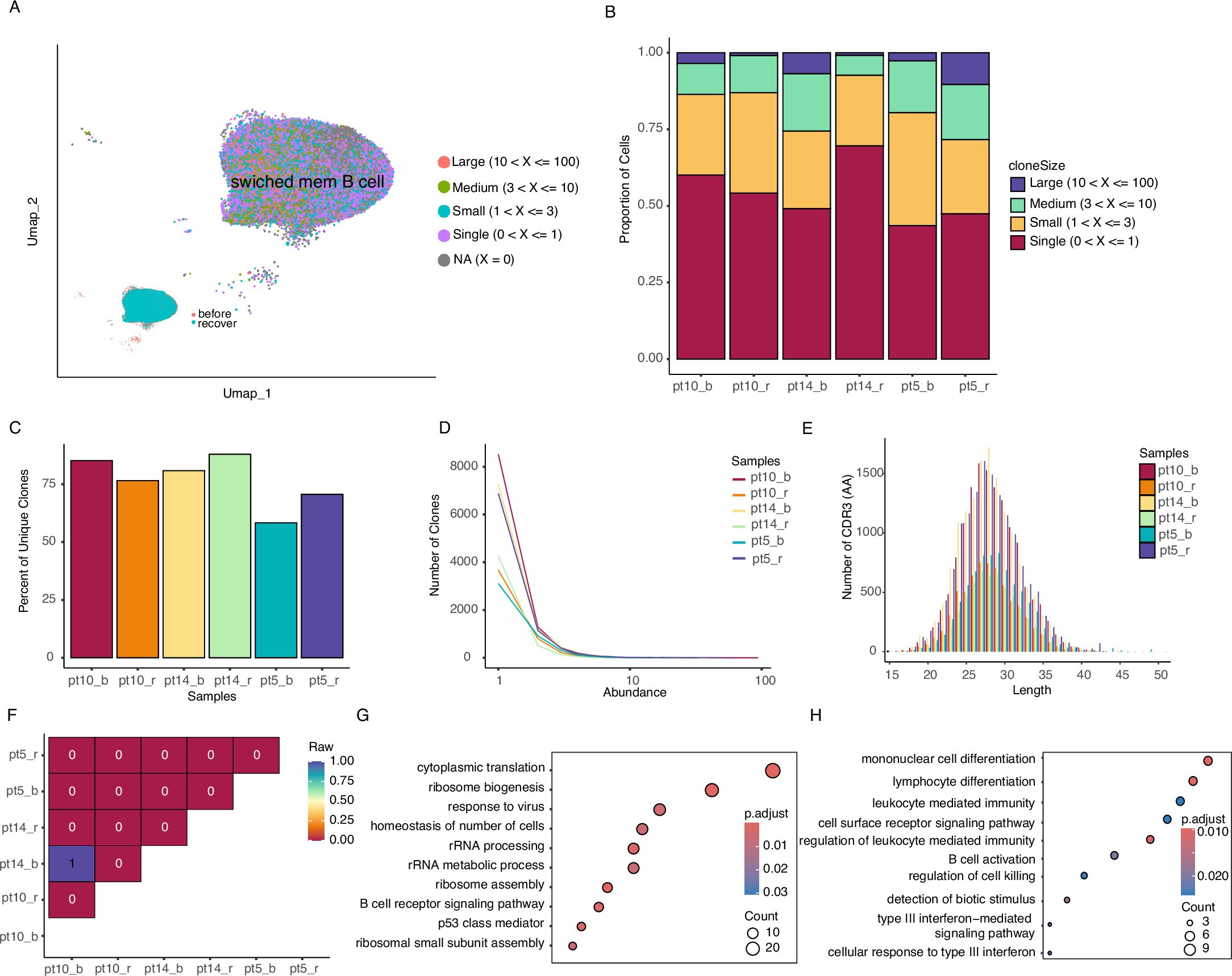 Extended Data Fig. 8: Comparison of memory B cell diversification Following CAR-T cell therapy.