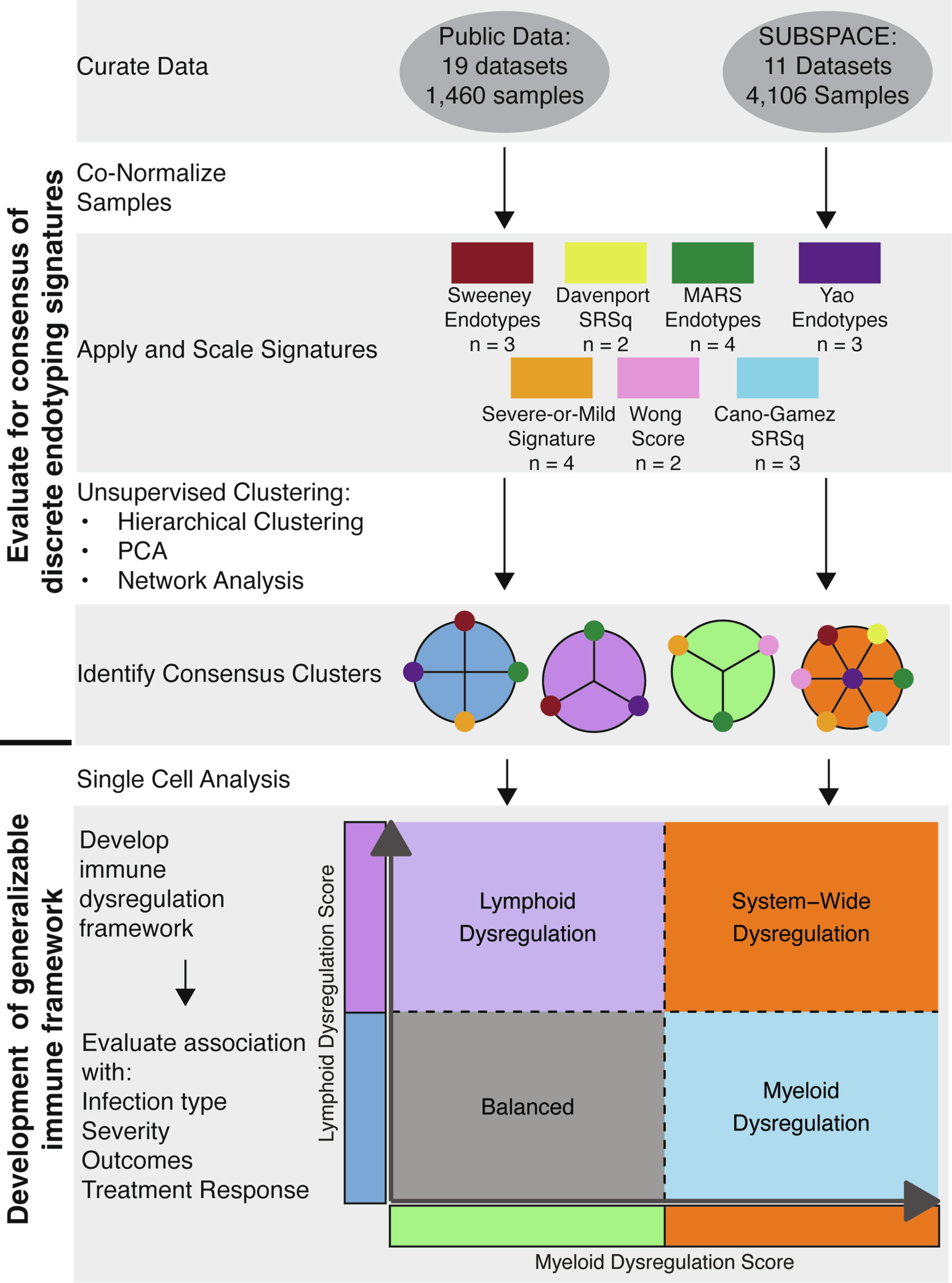 Extended Data Fig. 1: Analysis overview.