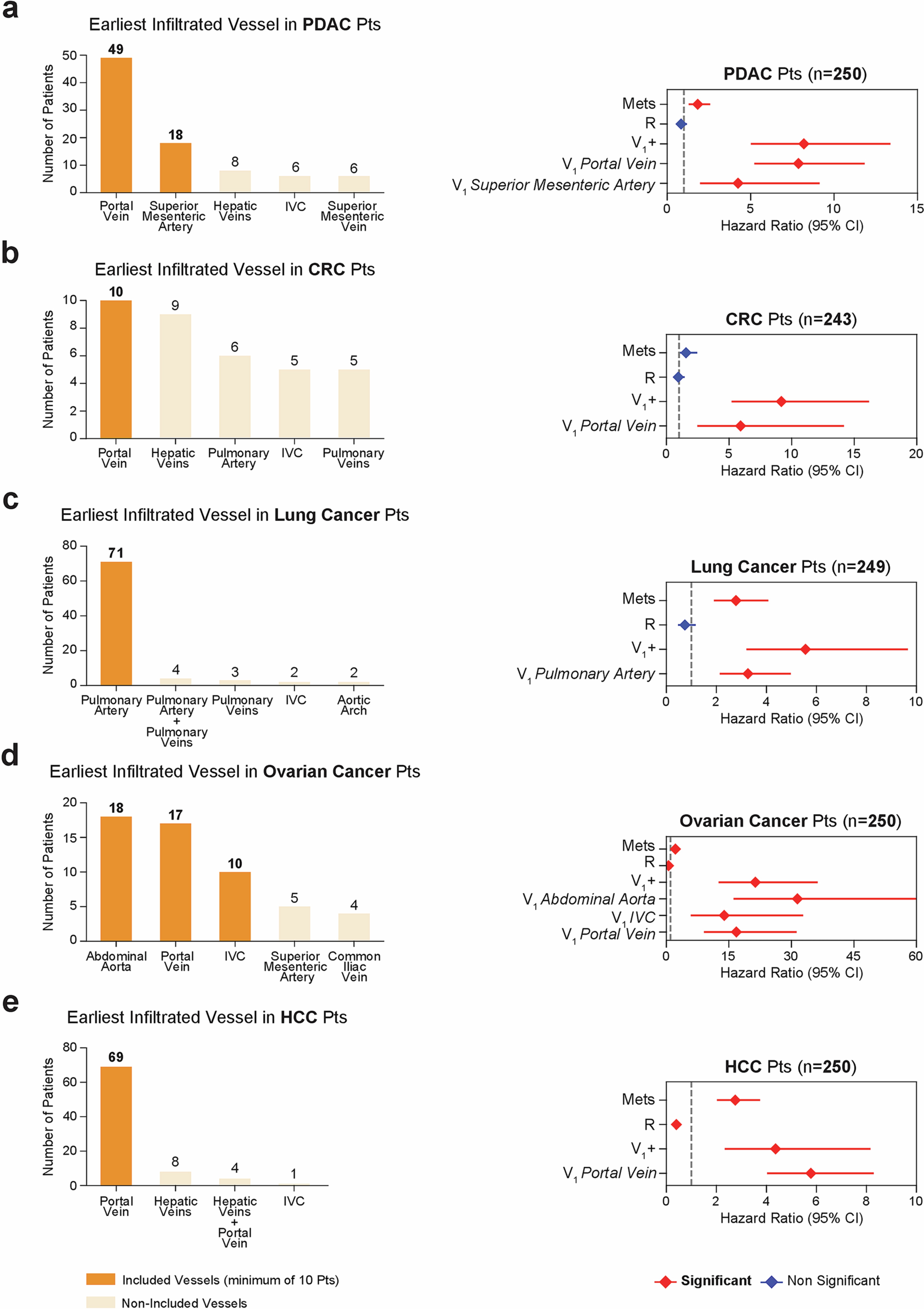 Extended Data Fig. 10: Most frequently infiltrated vessels in patients diagnosed with colorectal, lung, ovarian, pancreatic, and hepatocellular carcinoma.