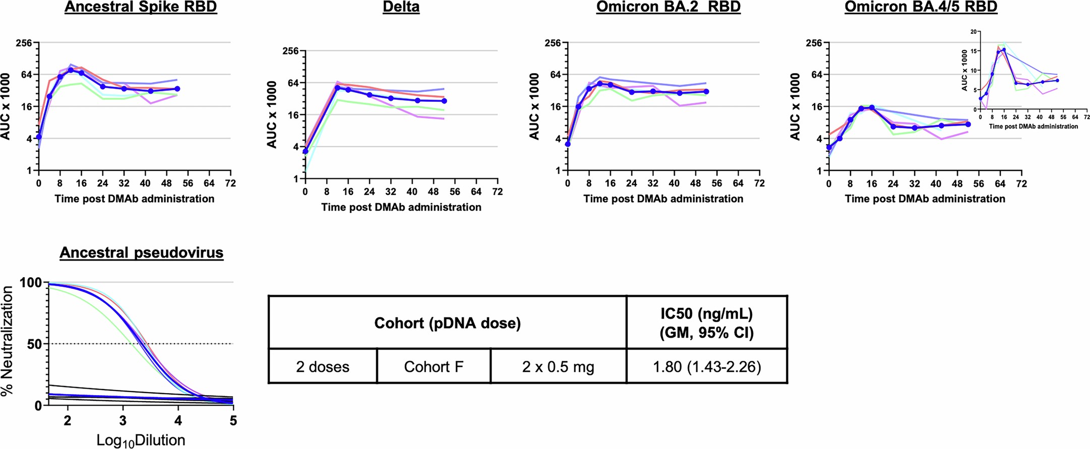 Extended Data Fig. 6: In vivo-expressed DMAbs delivered with modified EP parameters (OpBlock 0070) bind to SARS-CoV-2 Spike RBDs.