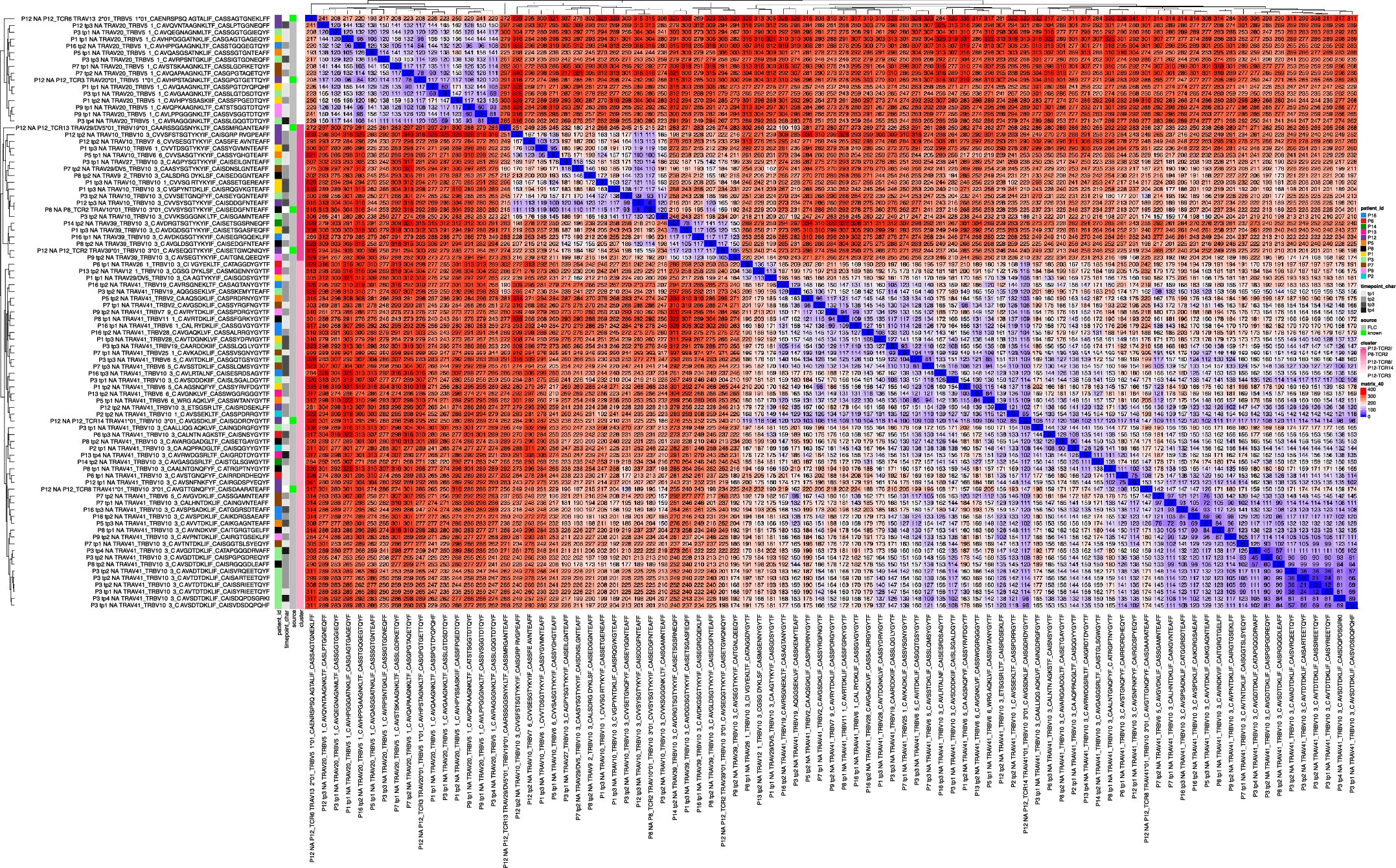 Extended Data Fig. 8: TCR similarity clustering with fusion-specific TCRs.