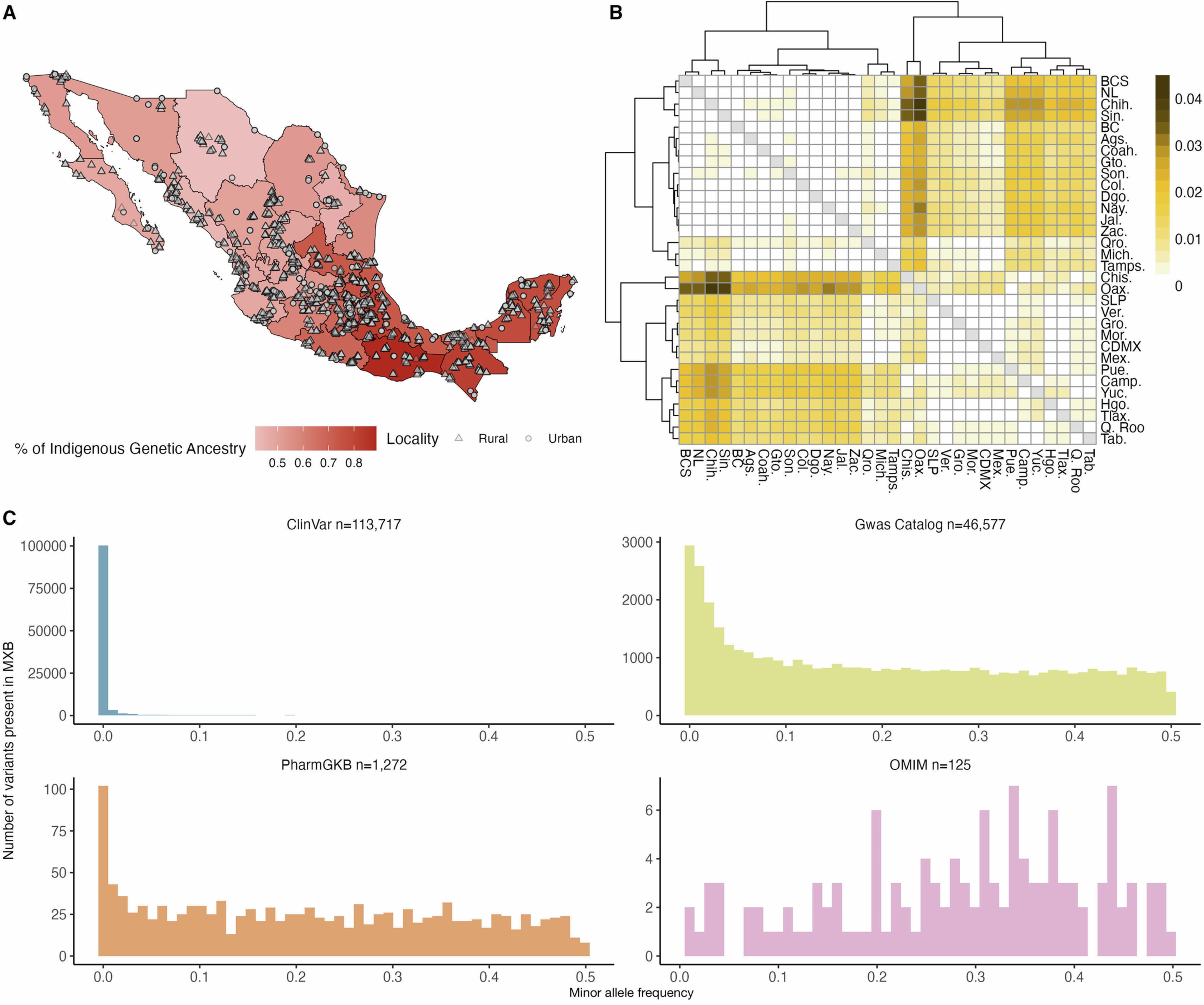 Extended Data Fig. 2: Allele frequency landscape of clinically relevant variants in the Mexican Biobank.