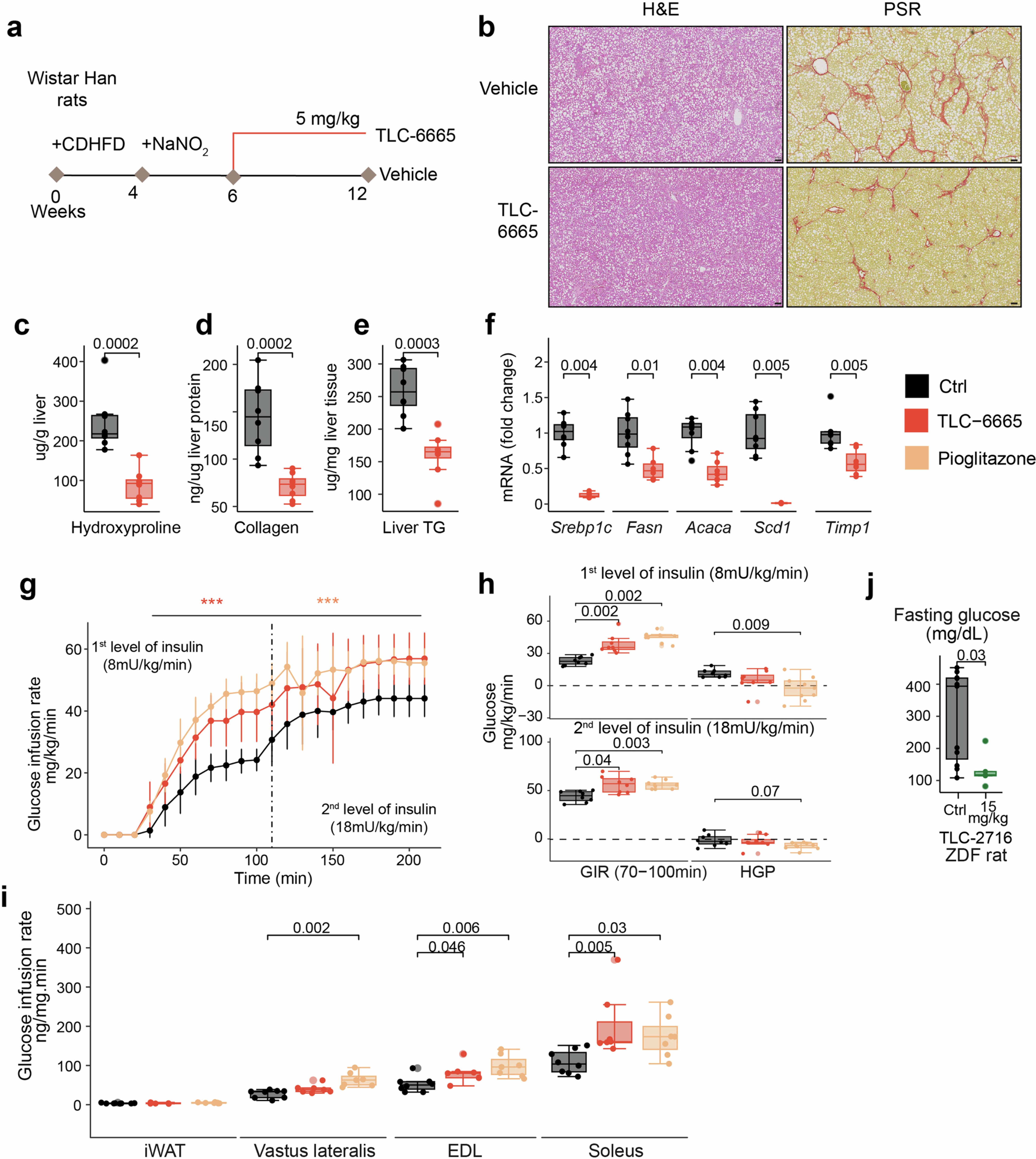 Extended Data Fig. 5: LXR inverse agonists reduce the progression of liver fibrosis and improve insulin sensitivity.