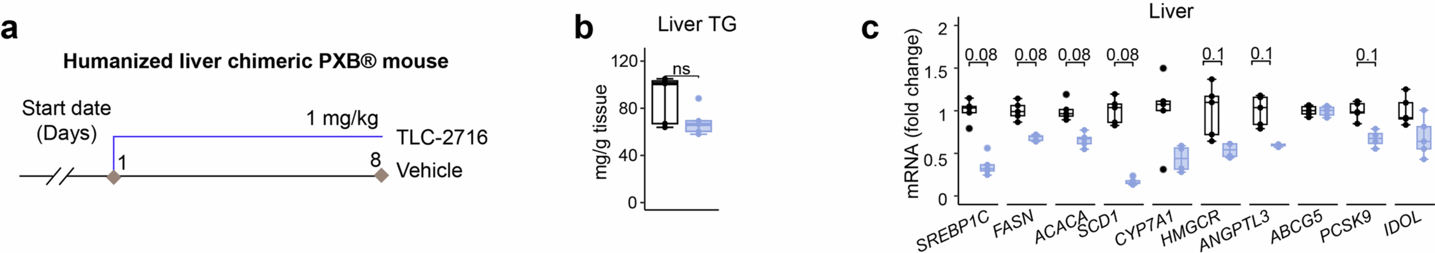 Extended Data Fig. 6: TLC-2716 maintains lipid homeostasis in a humanized liver murine model.