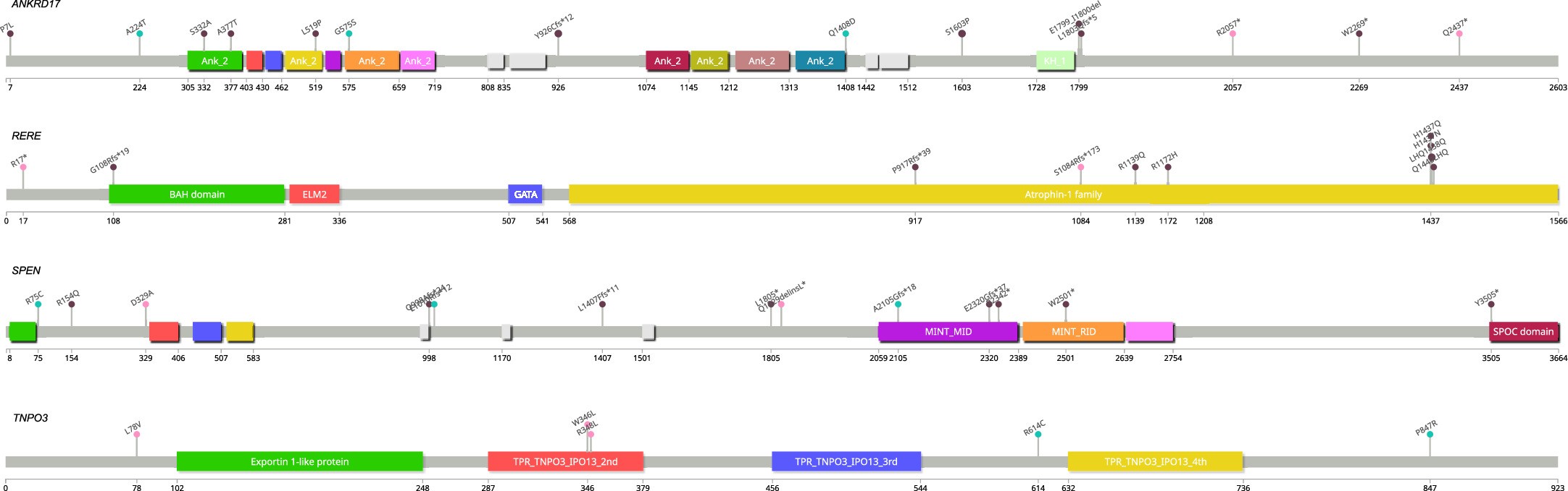 Extended Data Fig. 7: Lollipop diagrams illustrating variants identified in emerging autism-associated genes.
