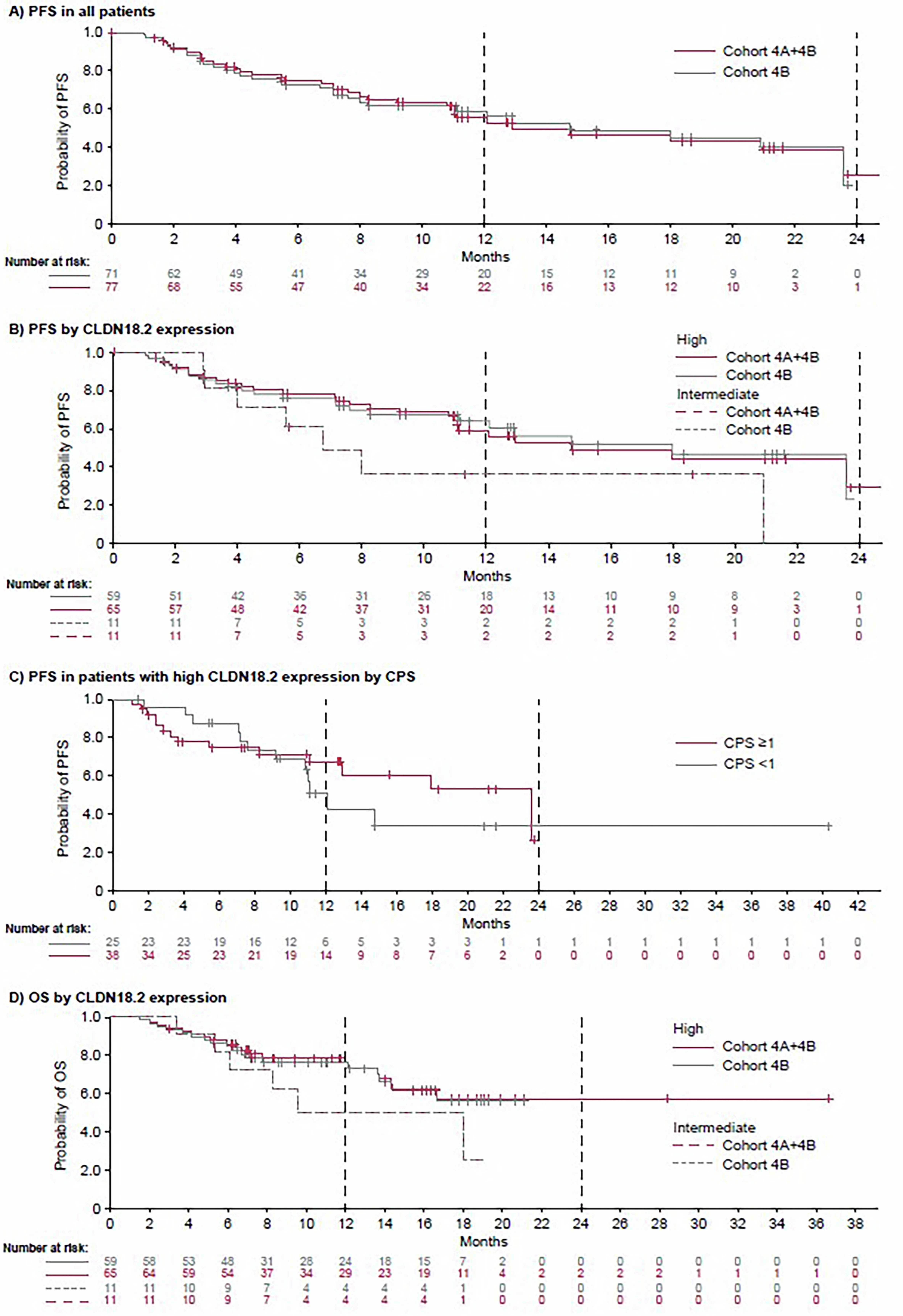 Extended Data Fig. 1: Survival outcomes in cohort 4B and exploratory analysis cohort 4A + 4B in the safety analysis set.