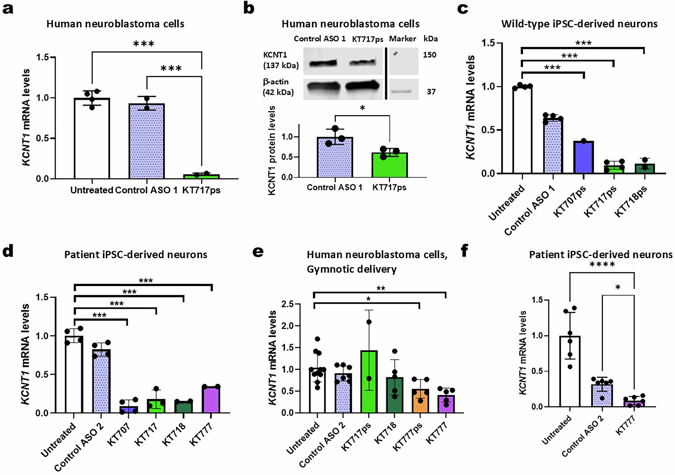Extended Data Fig. 1: 2’MOE-modified ASOs reduce KCNT1 mRNA transcripts in patient-derived iPSC neurons.