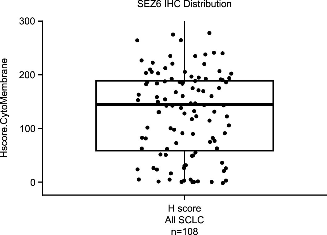 Extended Data Fig. 4: Distribution of SEZ6 expression among all patients with SCLC and available tumor sample.