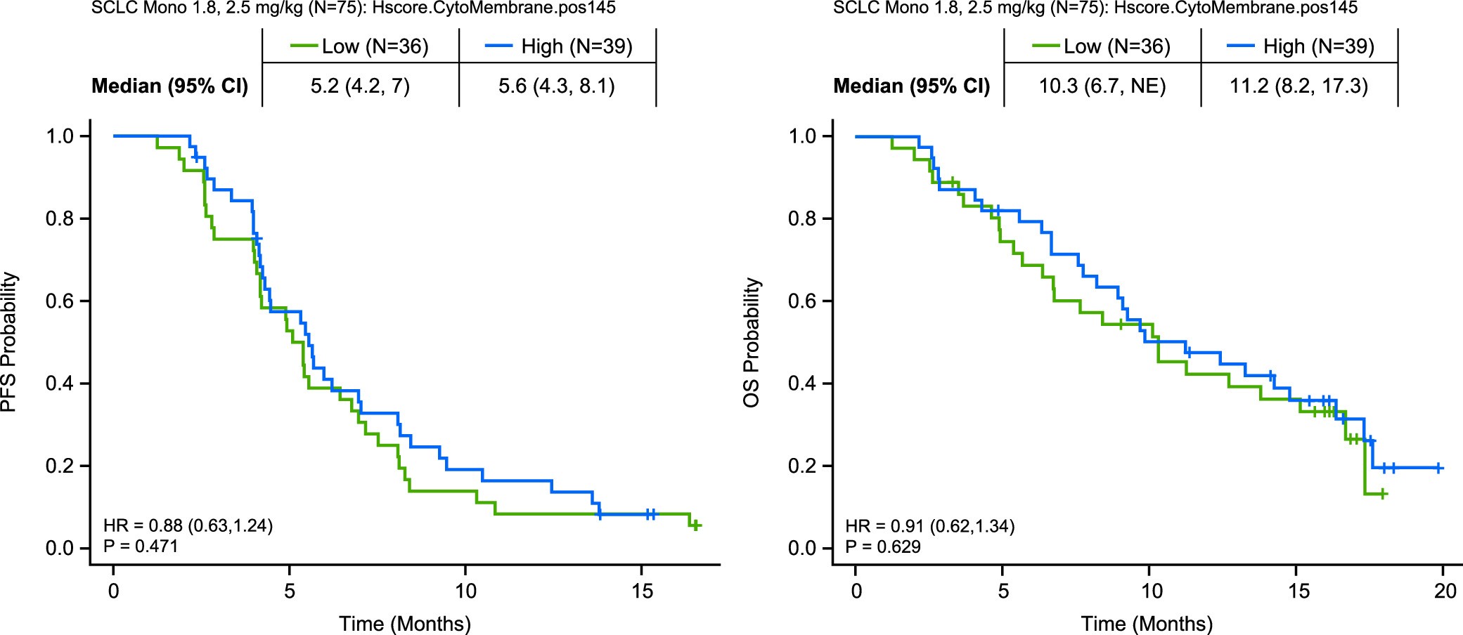 Extended Data Fig. 6: Impact of SEZ6 expression on PFS and OS among patients in the 1.8 mg kg−1 and 2.5 mg kg−1 dose cohorts, stratified by median SEZ6 cytomembrane H-score of 145 into low (n = 36) and high (n = 39) cohorts.
