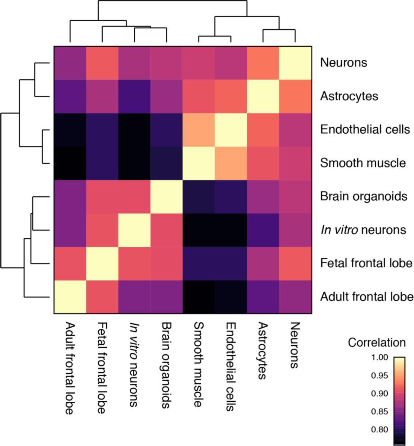 Supplementary Figure 13