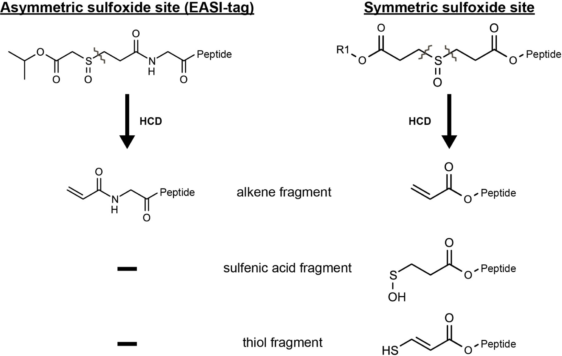 Supplementary Figure 1