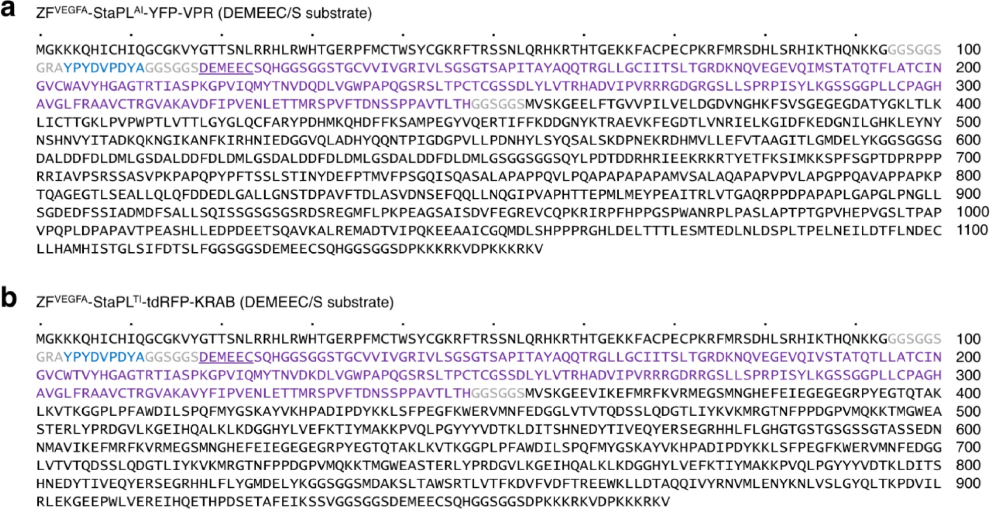 Supplementary Figure 6