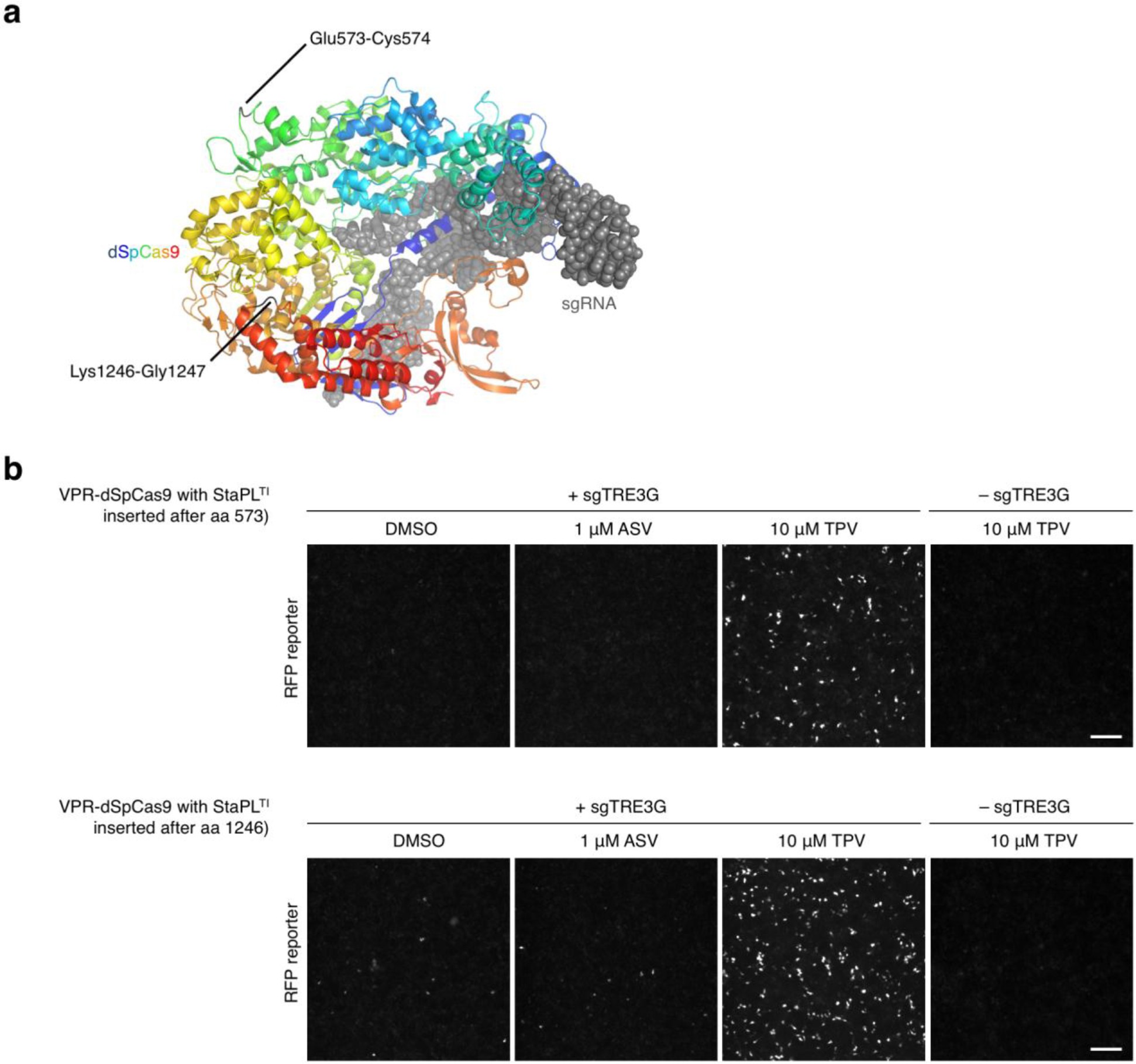 Supplementary Figure 7