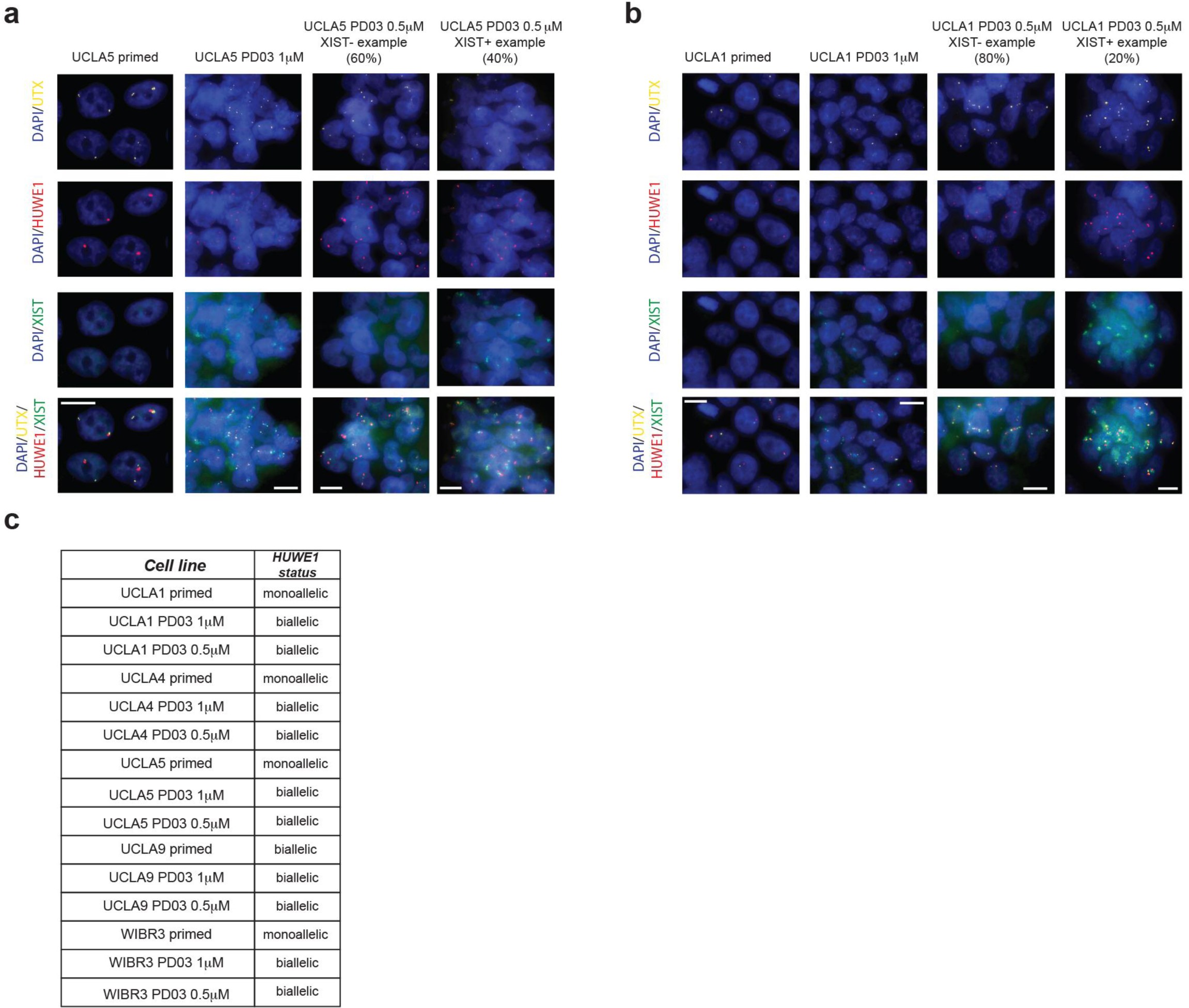 Supplementary Figure 7: Effect of attenuated MEK inhibition on X chromosome inactivation status.