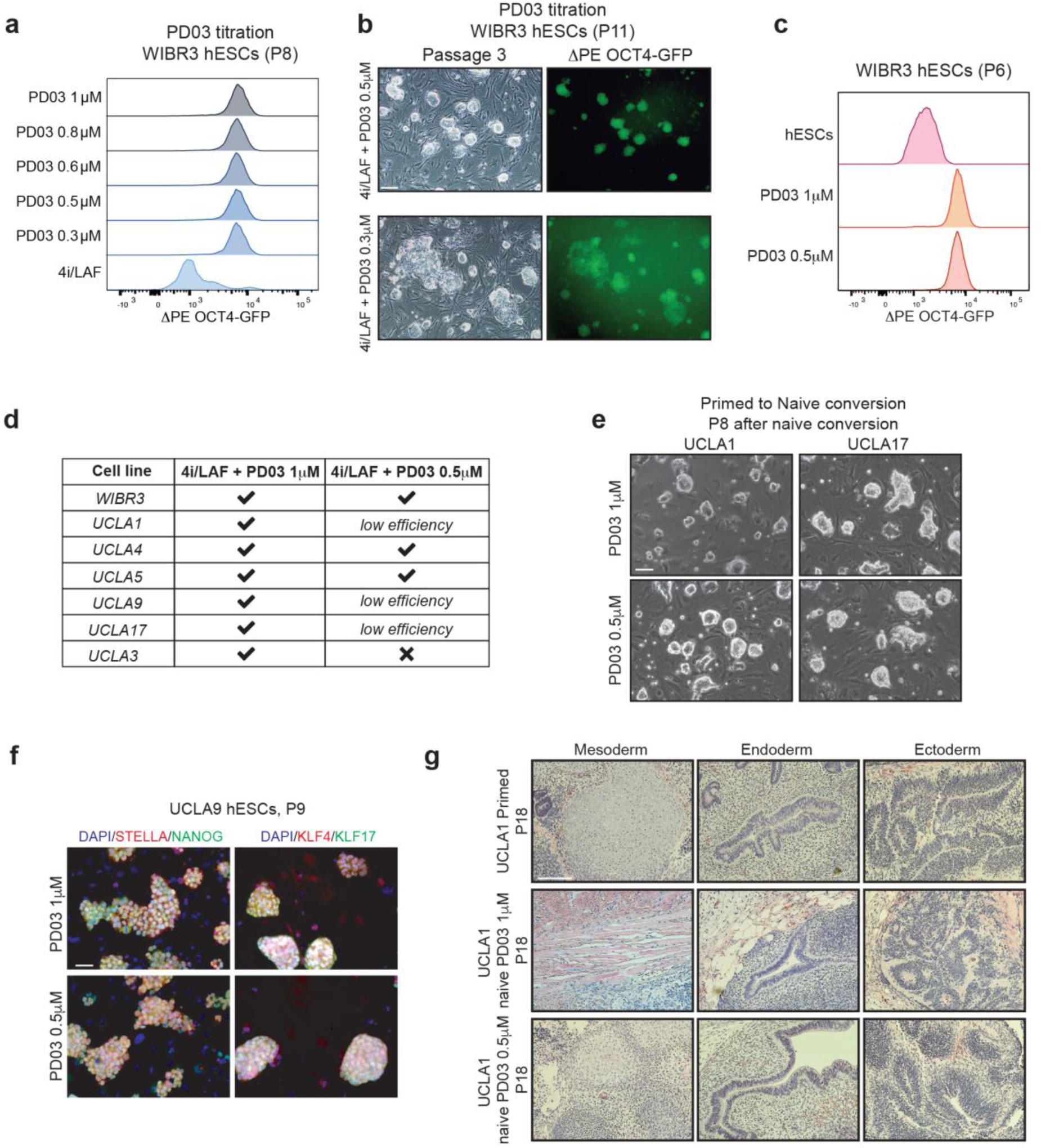 Supplementary Figure 1: hESCs cultured in m5i/LAF are pluripotent.
