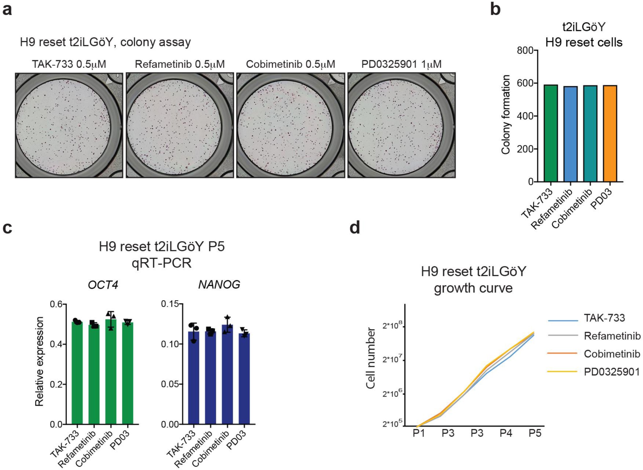 Supplementary Figure 3: Alternative MEK inhibitors maintain naive pluripotency in hESCs cultured in t2iLGöY.
