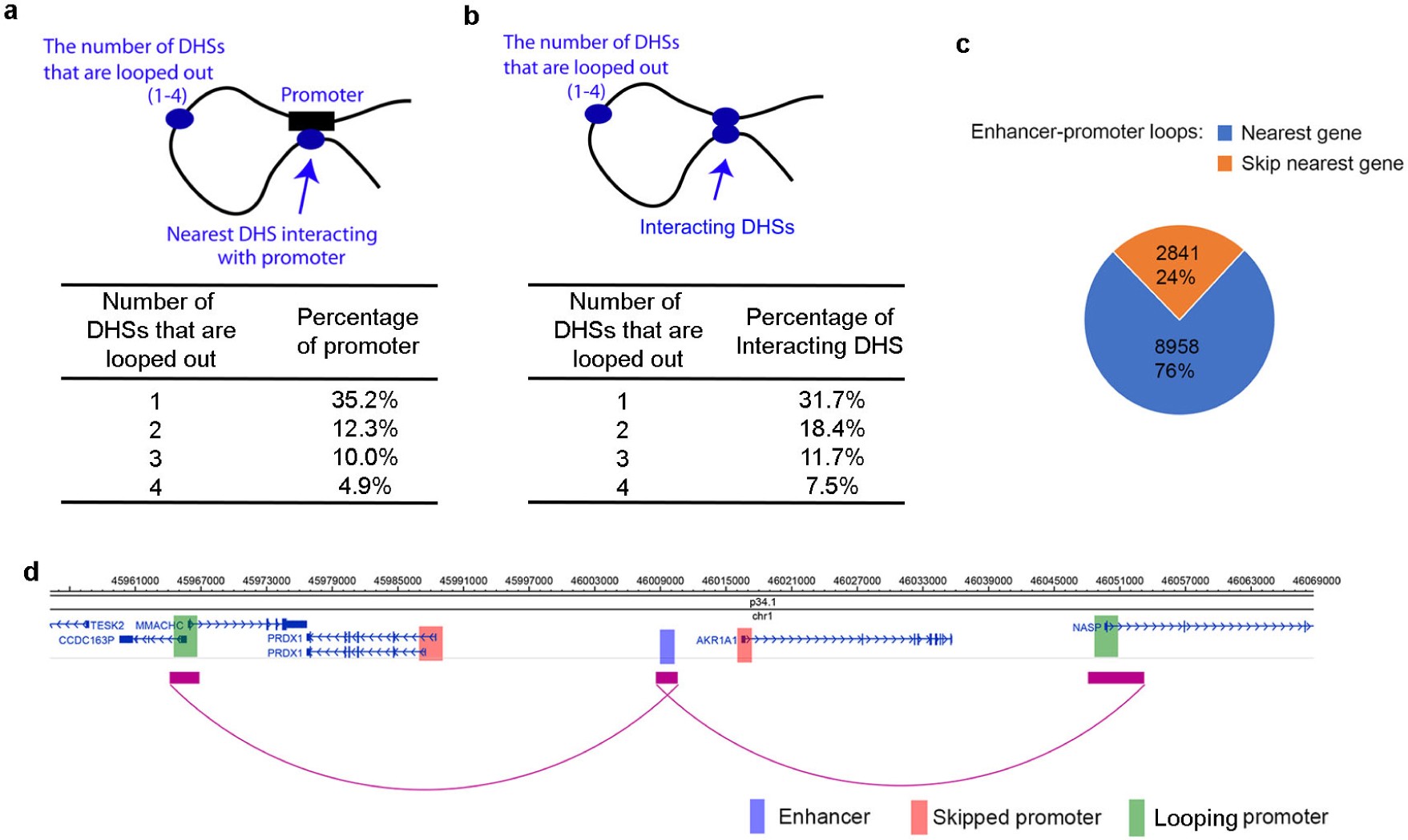 Supplementary Figure 8: Chromatin accessibility and proximity are not sufficient to allow interaction.