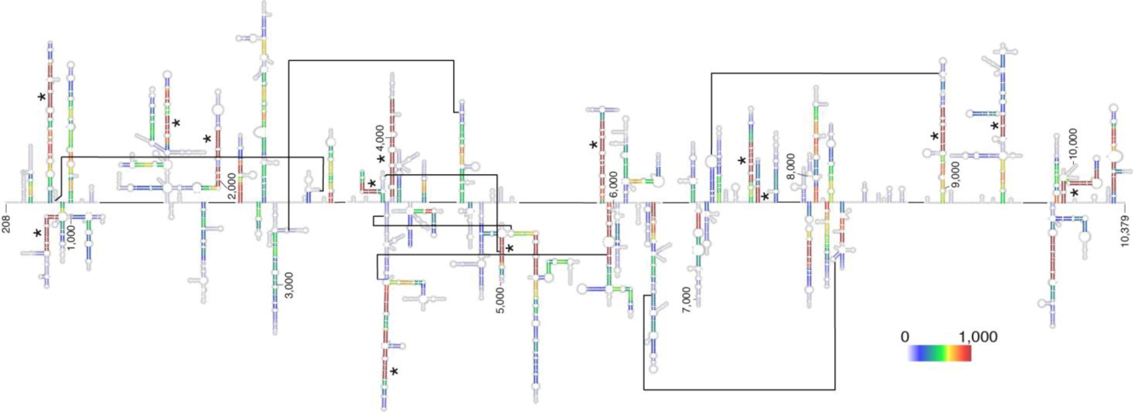 Supplementary Figure 7: Low-Shannon-entropy regions along the ZIKV coding region.