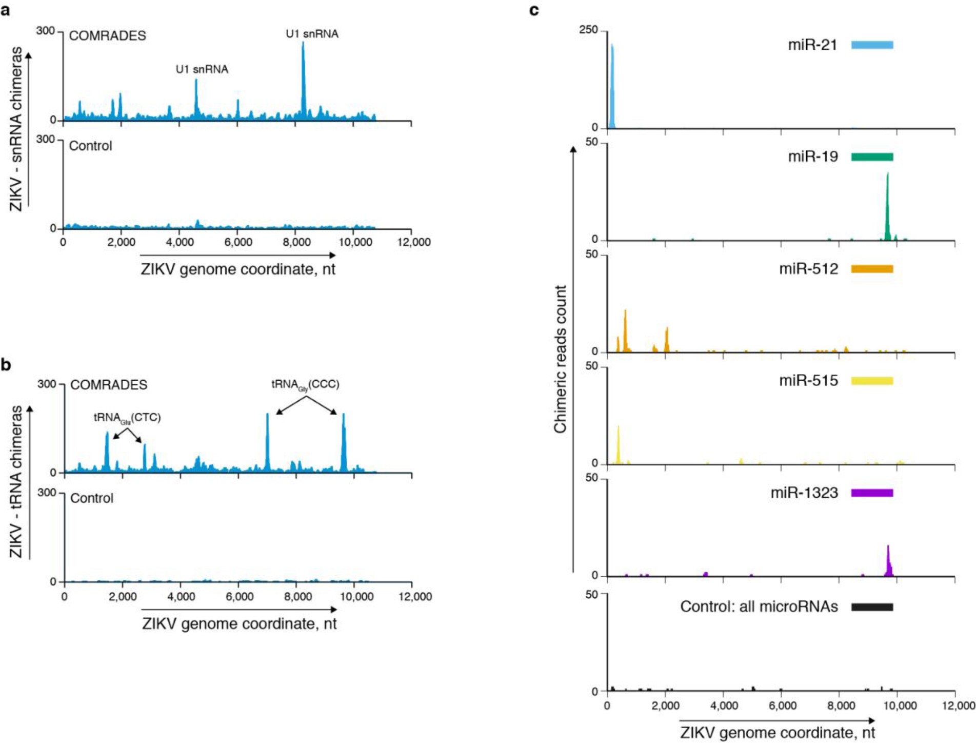 Supplementary Figure 11: Host–virus RNA–RNA interactions.