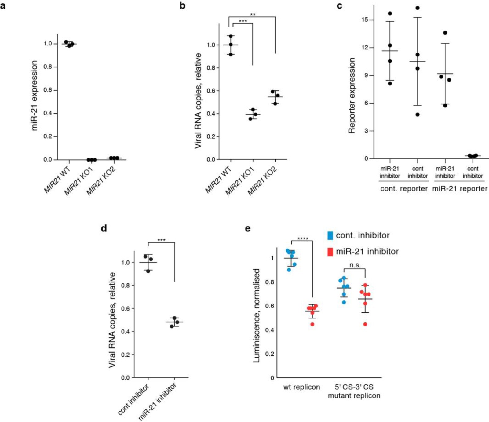 Supplementary Figure 13: miR-21 affects ZIKV RNA production.