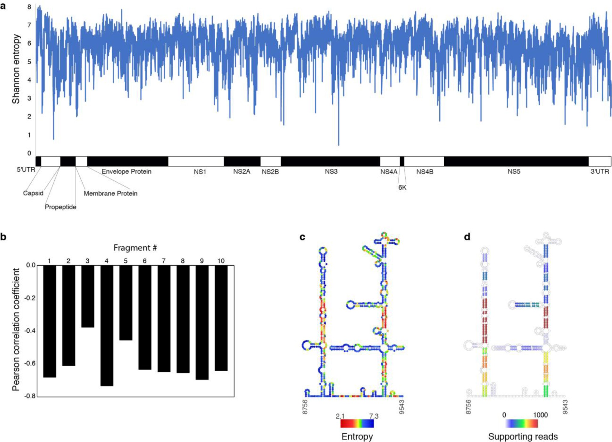 Supplementary Figure 6: Folding entropy.
